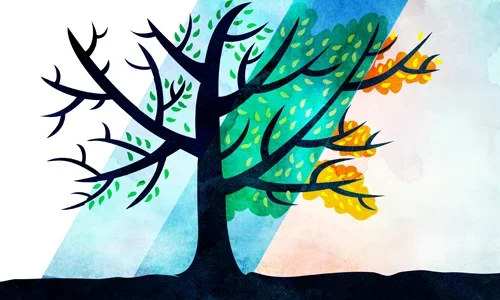 Seven Thoughts About Elul to Help Us Turn Inward and Forgive