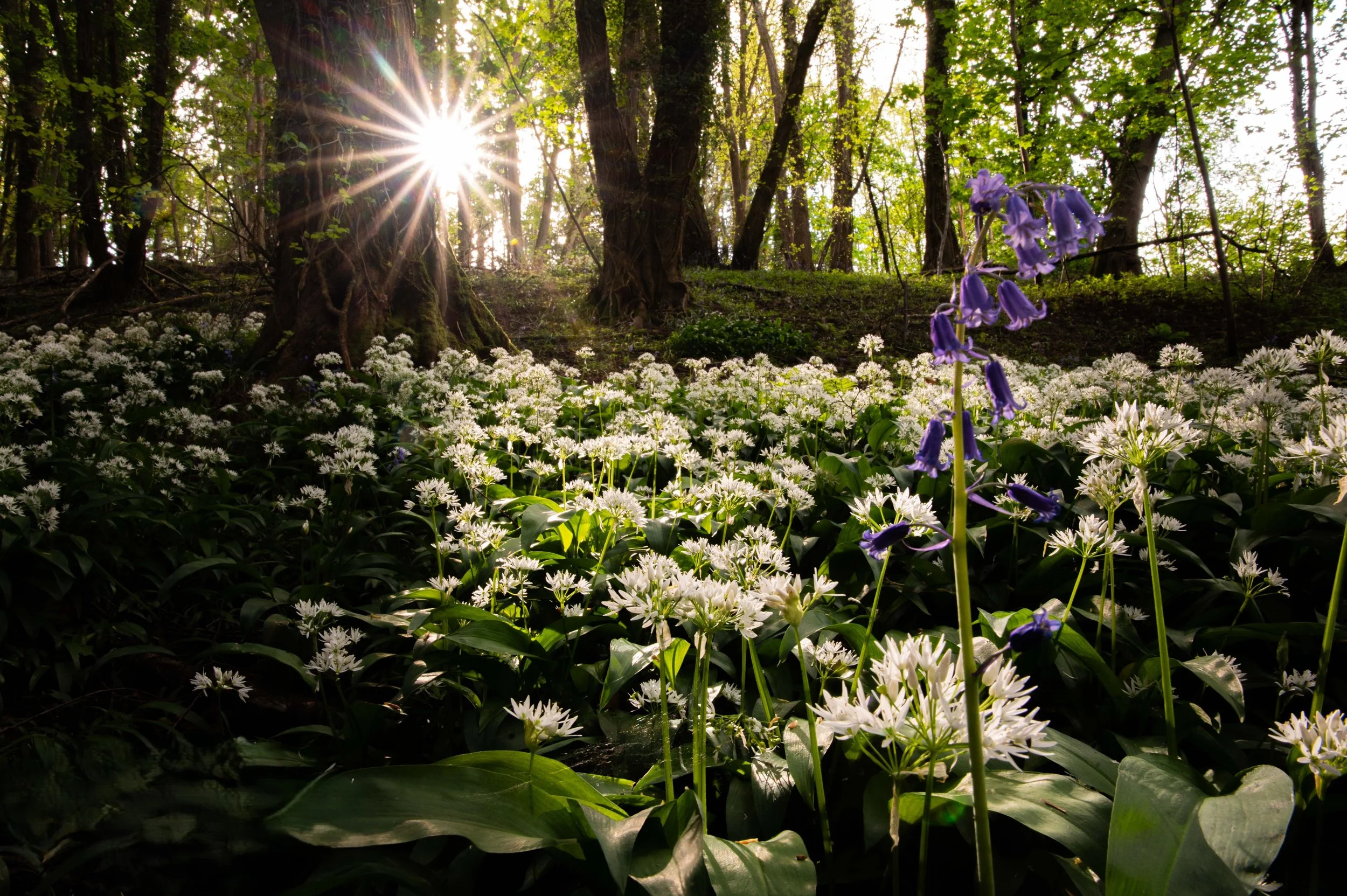 Landscape photography
