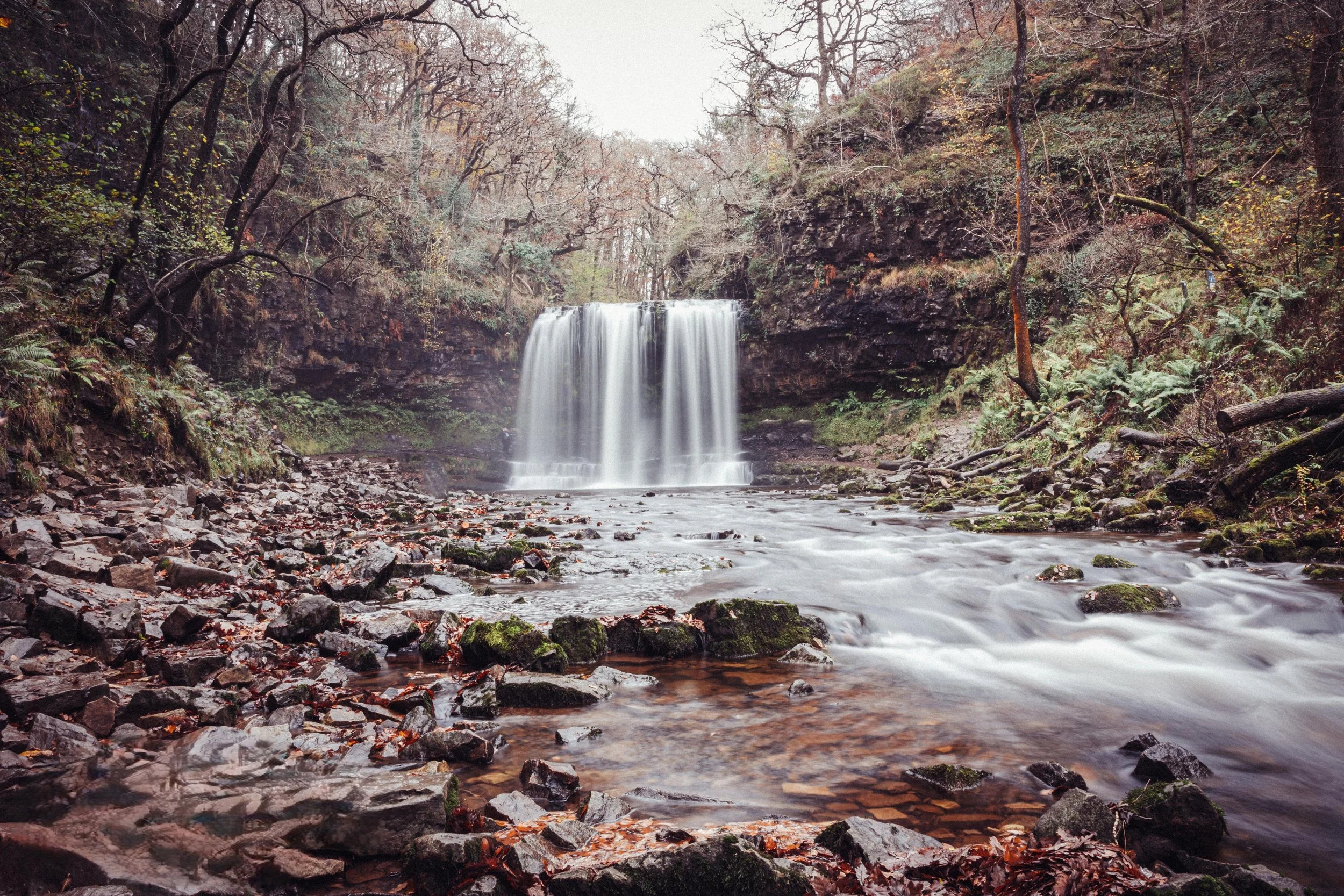 Landscape photo