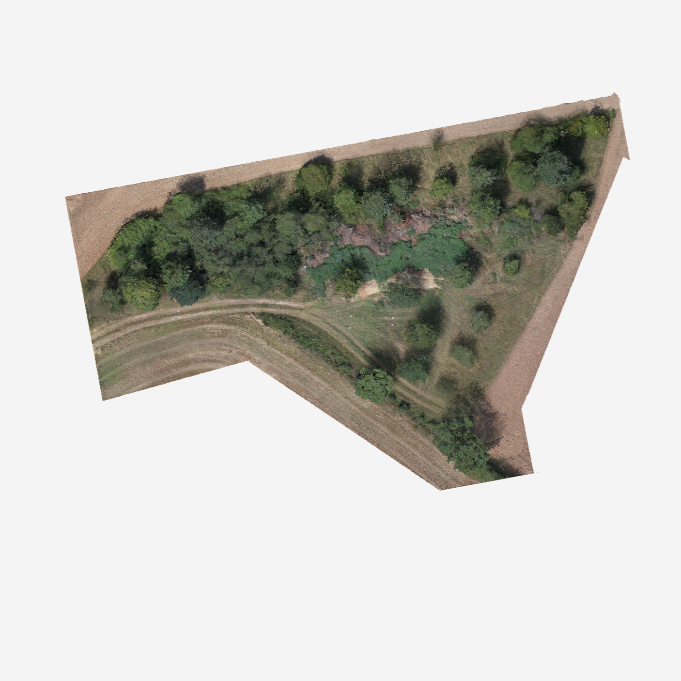 Hochauflösendes 2D-Orthofoto eines Geländes mit Vegetation und Fahrweg aus Drohnenaufnahmen