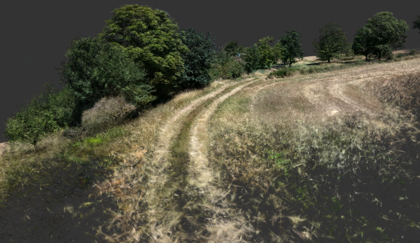 3D-Modell eines Geländes mit Feldweg, Vegetation und angrenzender Fläche