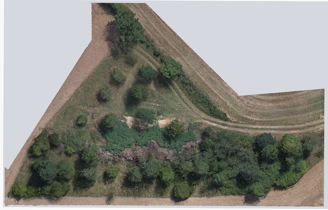 Hochauflösendes 2D-Orthofoto landwirtschaftlicher Flächen und Gelände