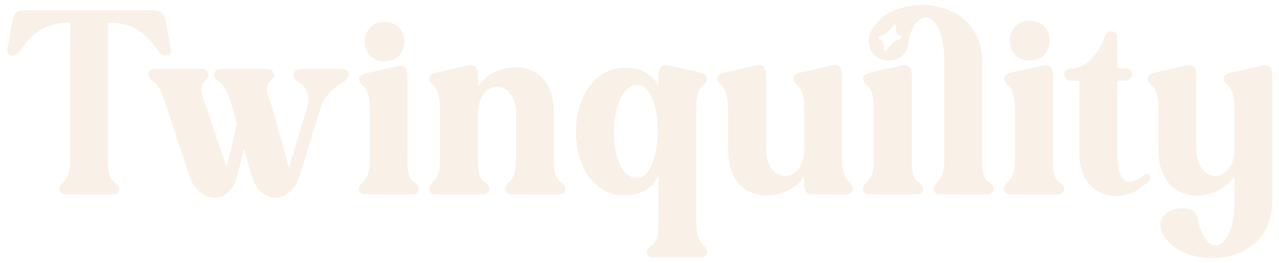 Twinquility logo with star above the second i