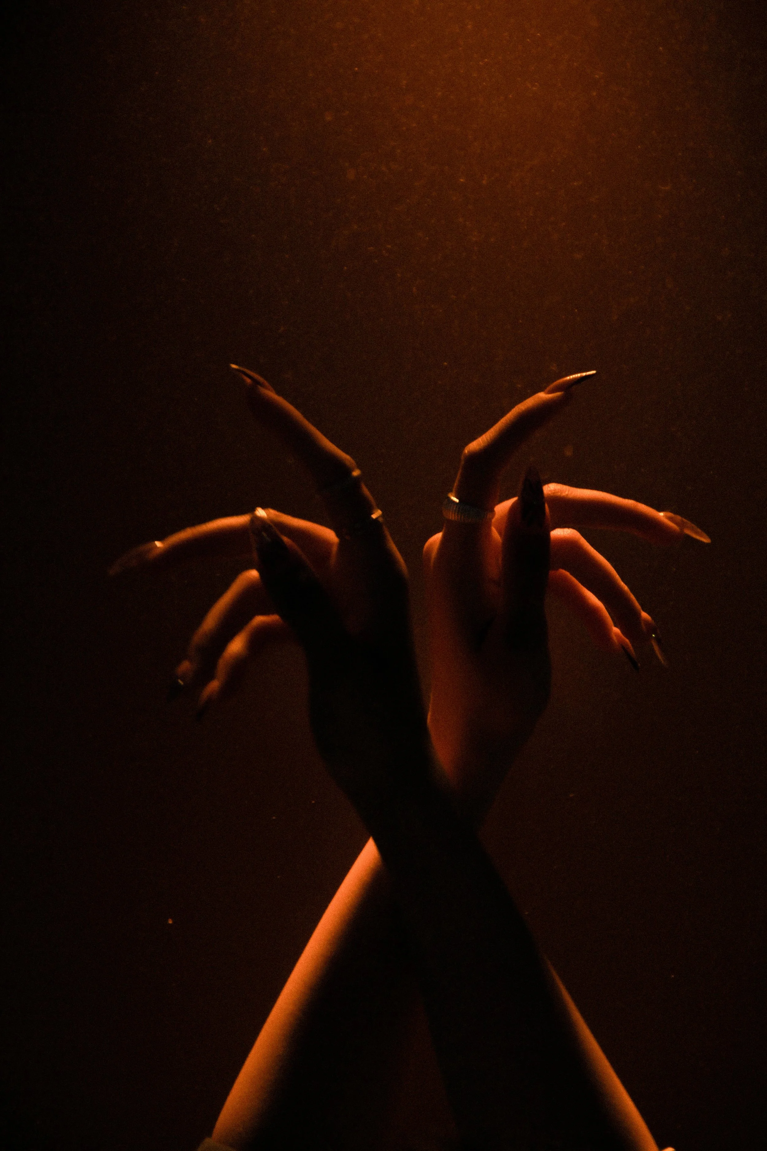 The Hand Of The Sacred