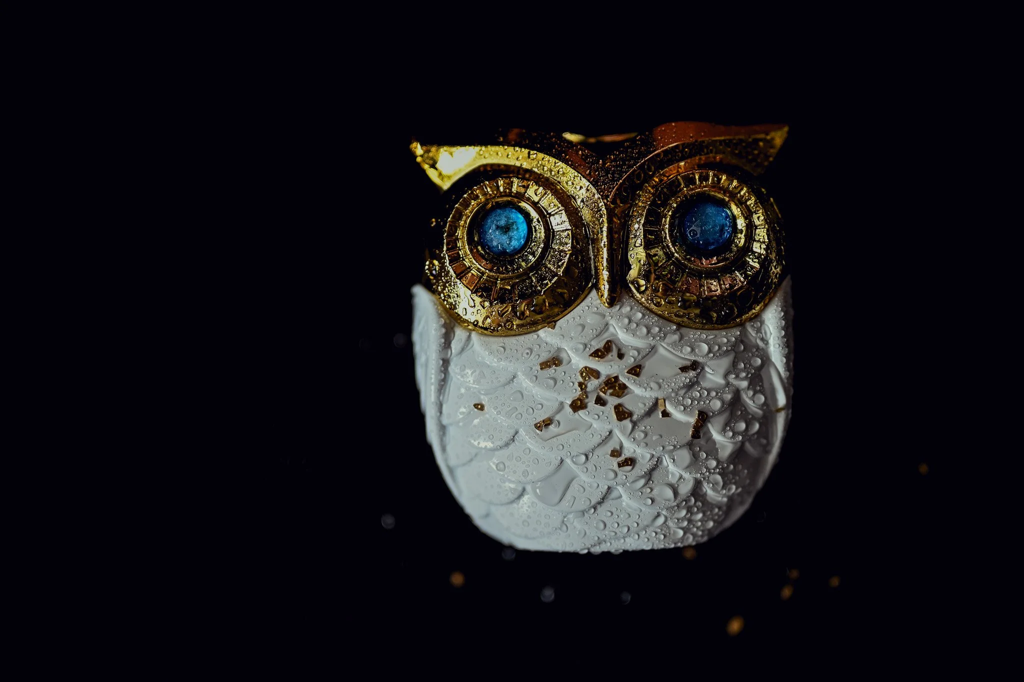 Nocturnal Icon - Owl