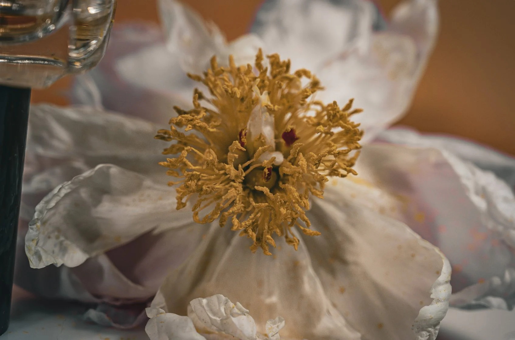 Peony Essence