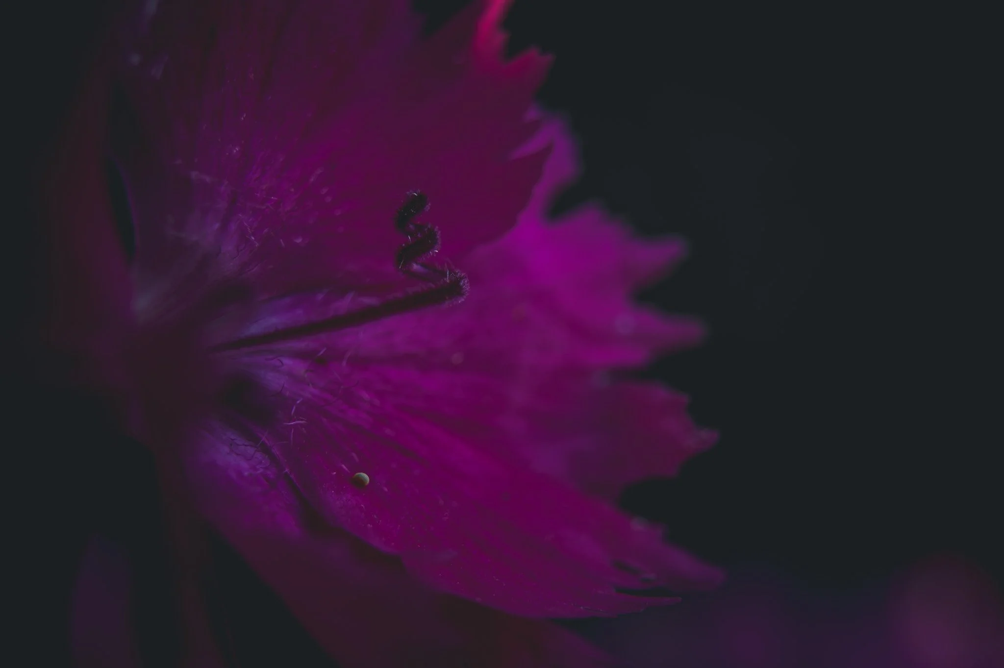 DSC_5449-2.jpg
