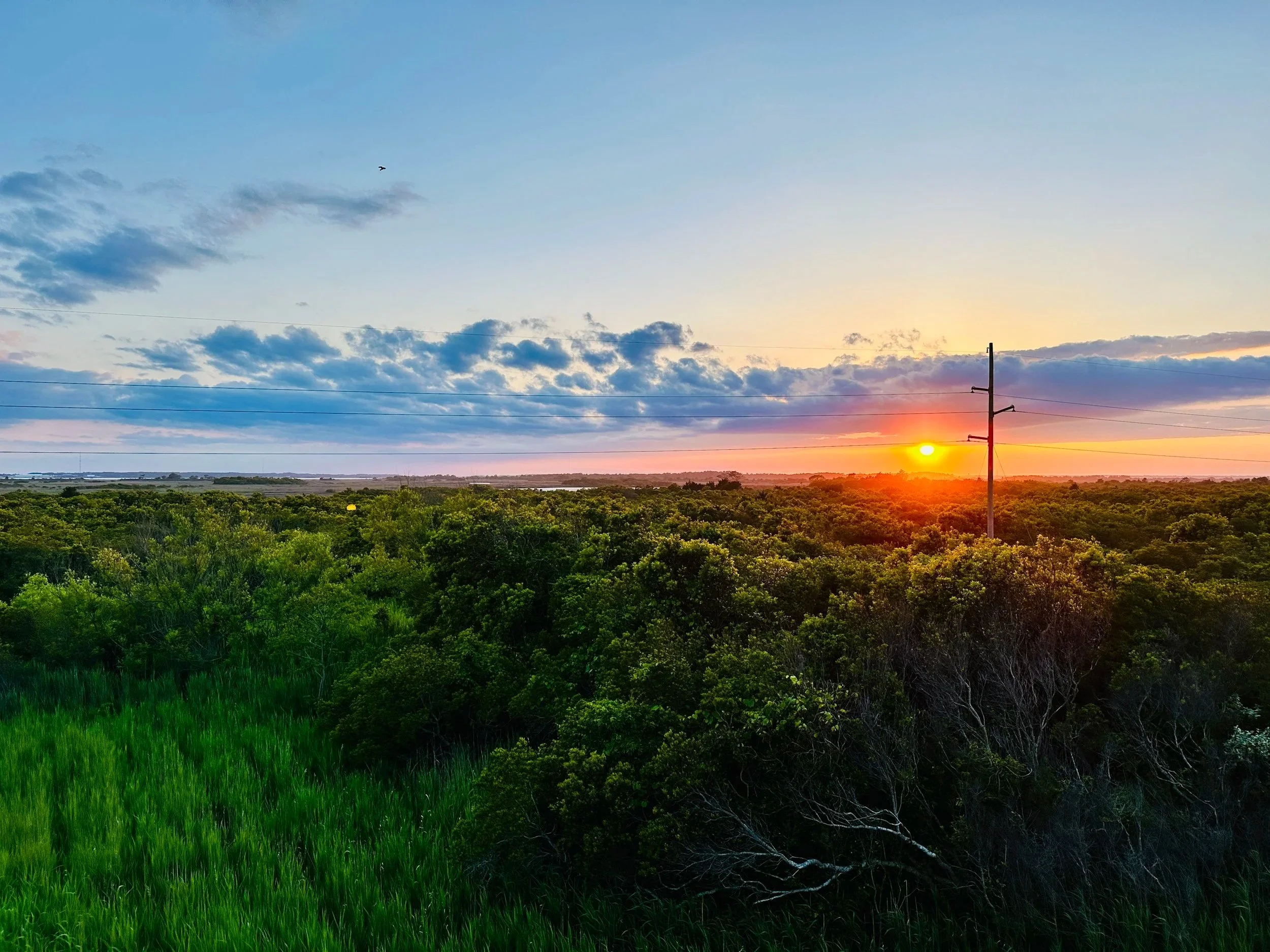 Landscape view of a sunset over a green field with trees and power lines in the foreground, clouds in the sky.