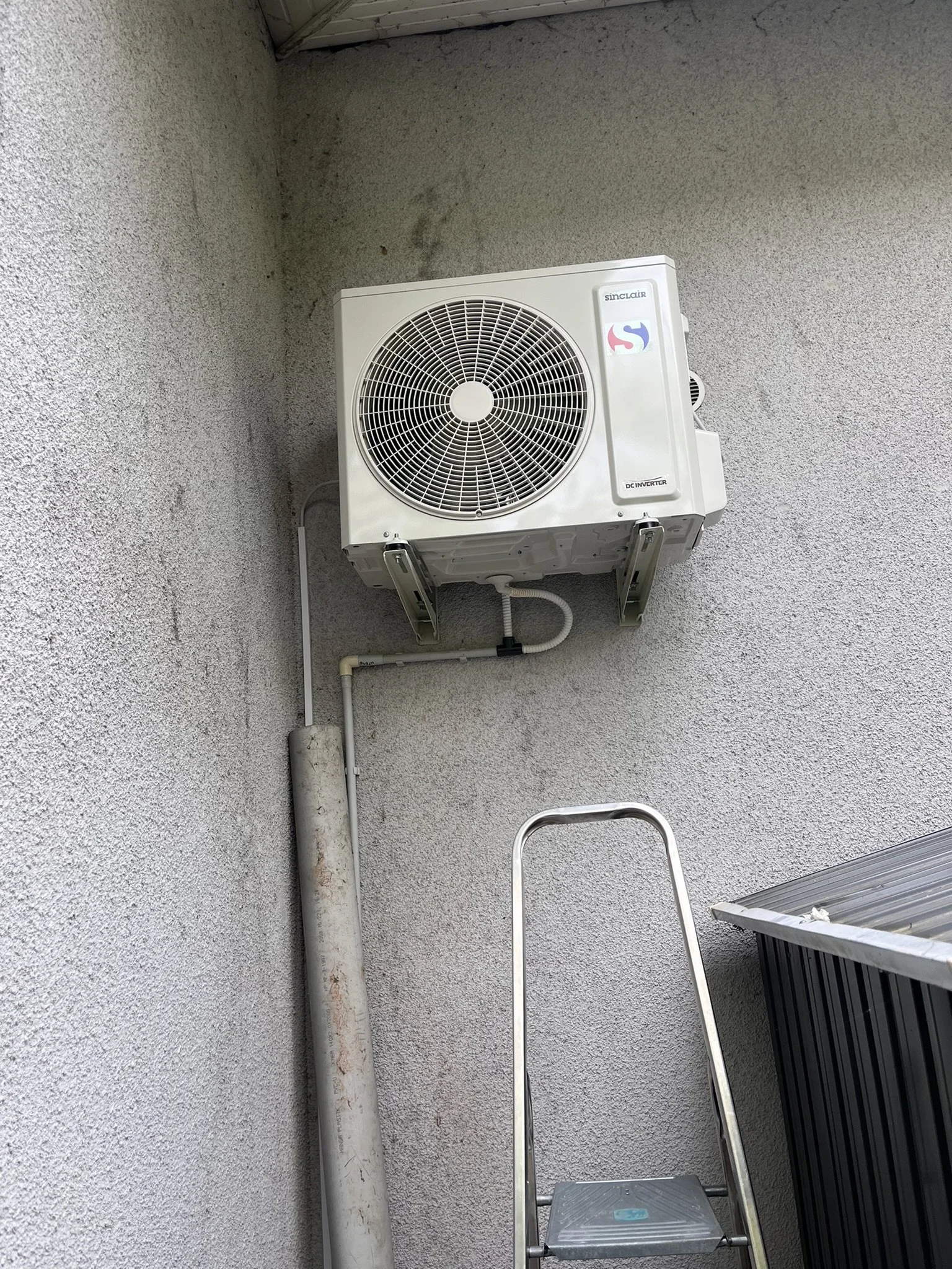IMG_9535.JPEG