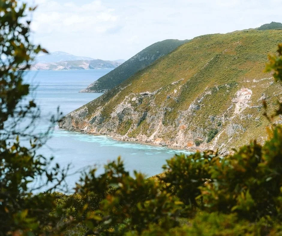 Coastal landscape with green, rocky cliffs and a calm blue body of water, partly framed by foliage in the foreground.