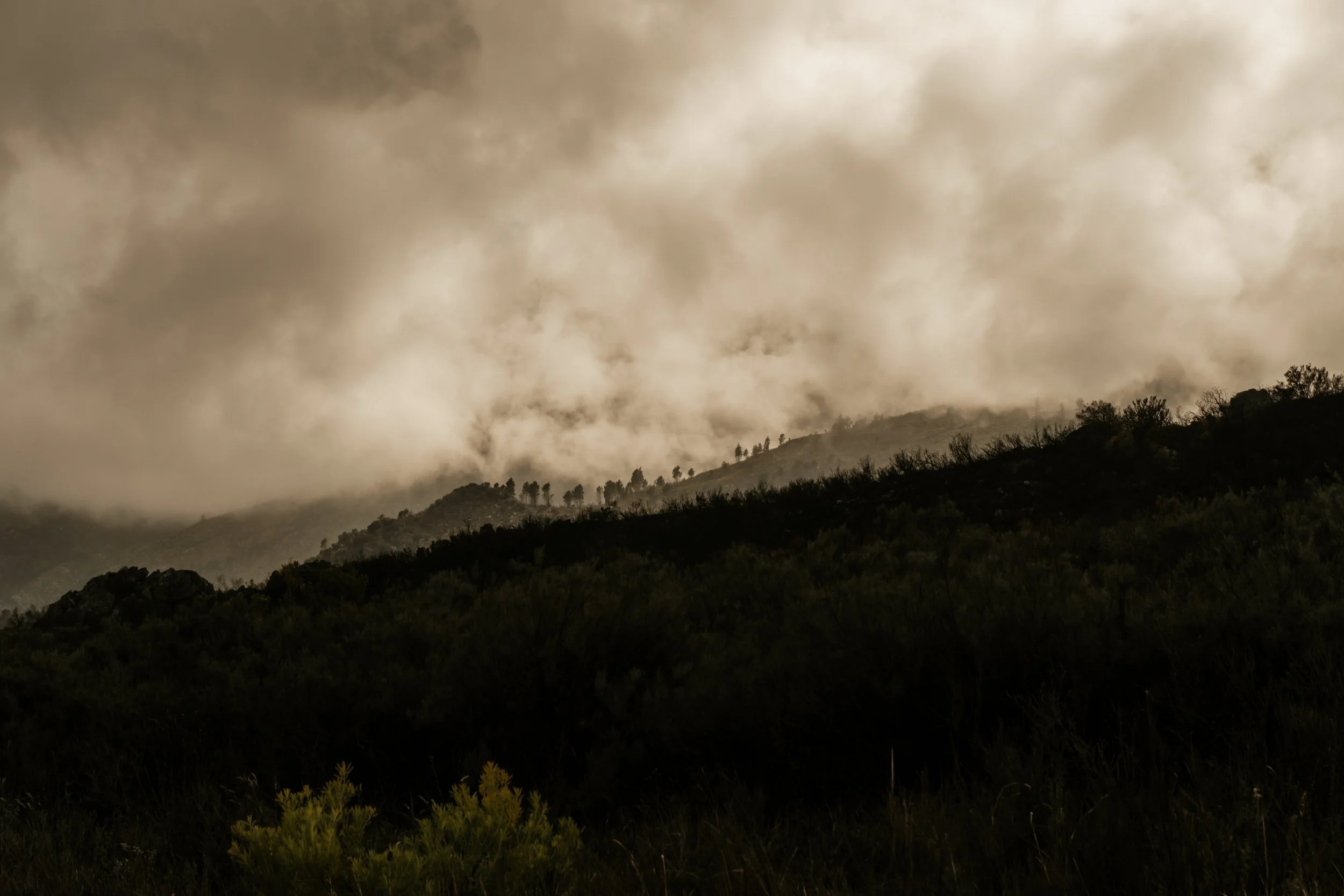 DSC01507 copy.jpg