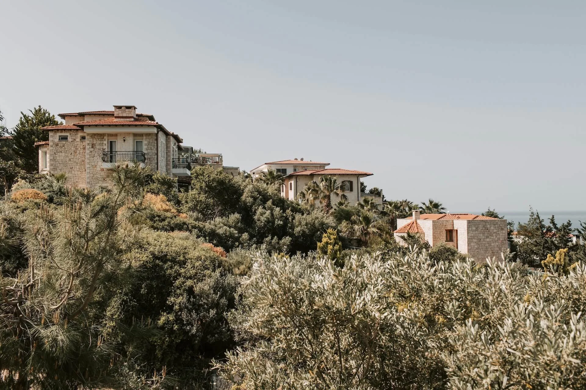 Houses with stone and stucco exteriors nestled among lush green shrubbery on a hillside with a clear sky in the background.