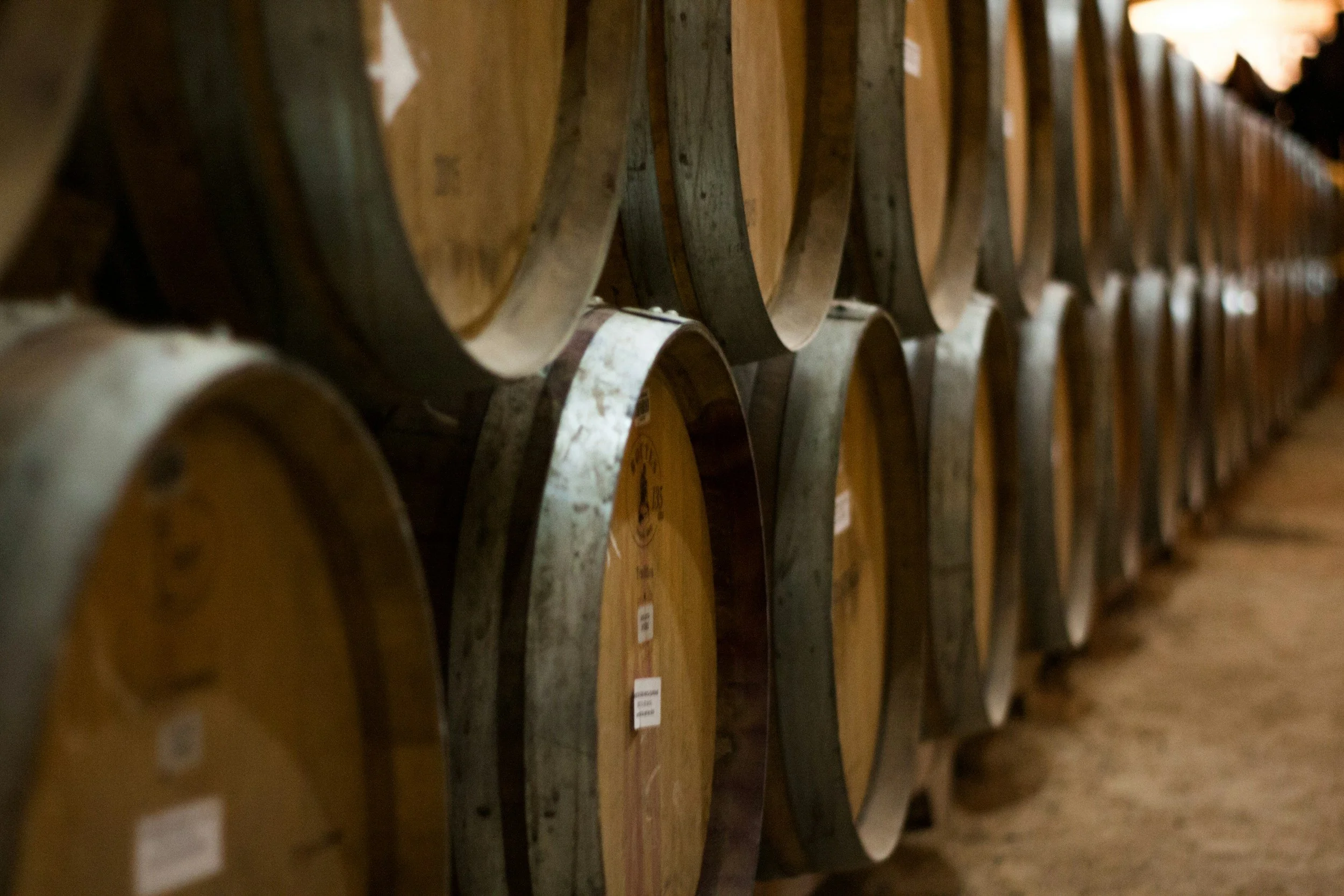 Rows of wine Barbera oak wine barrels lined up in a local wine cellar.
