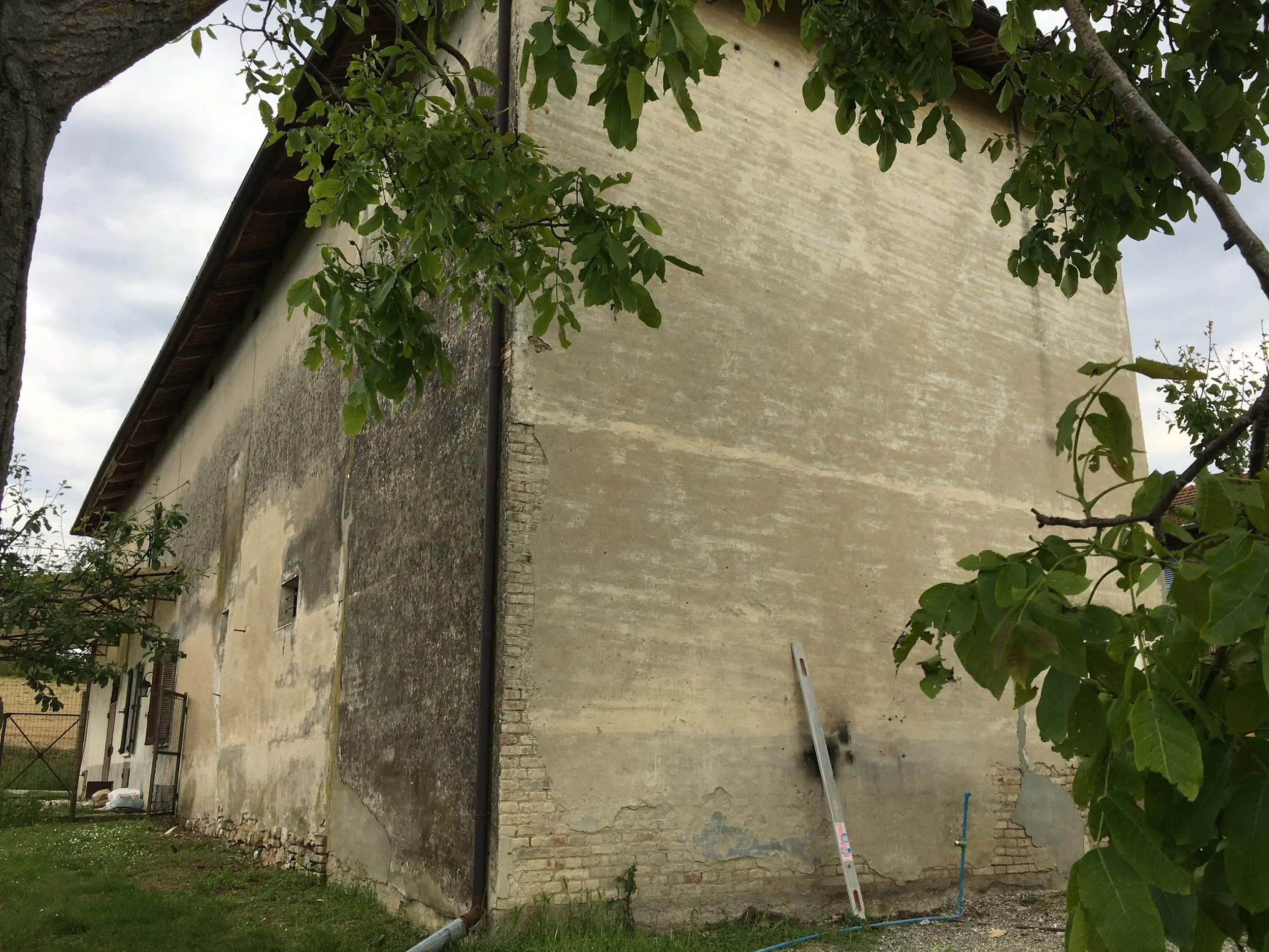 IMG_3185.jpeg