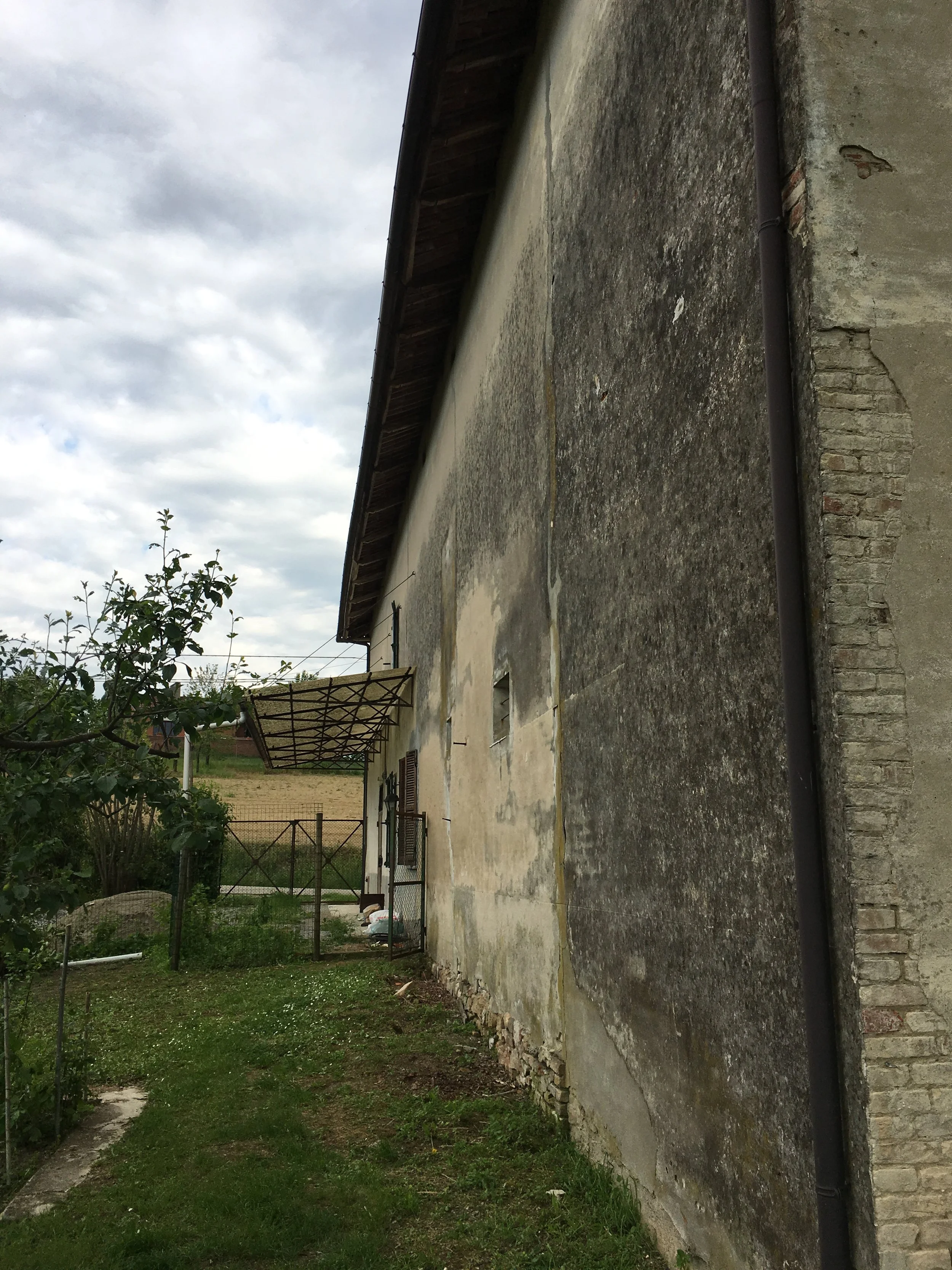 IMG_3190.jpeg