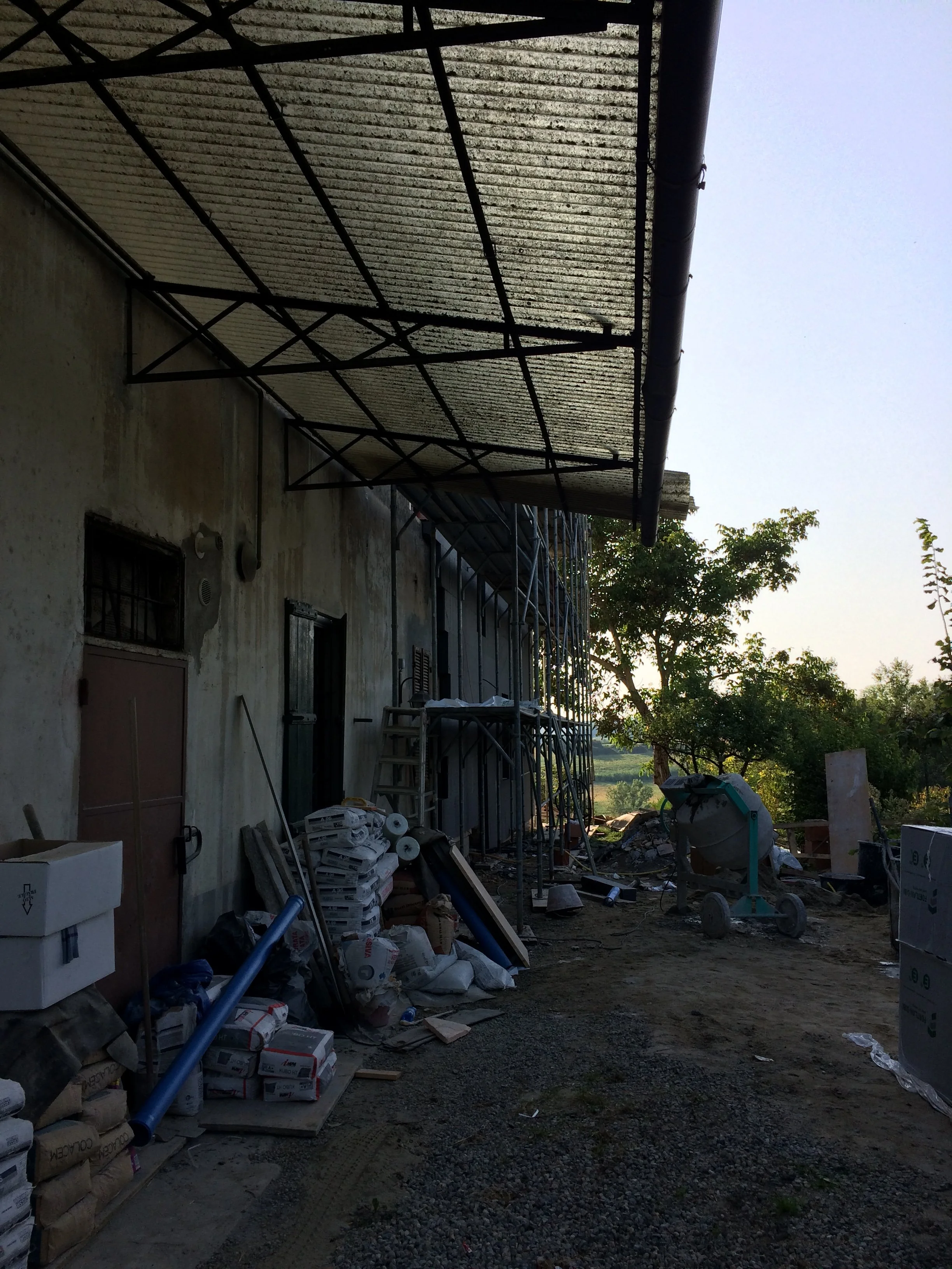 IMG_1238.jpeg