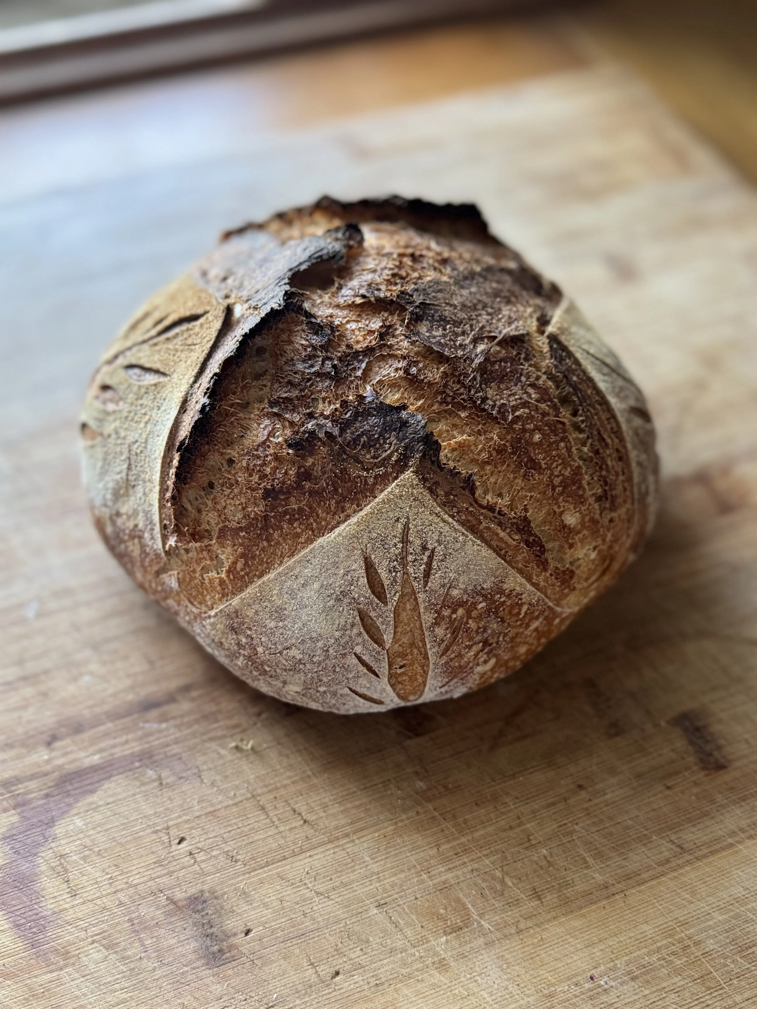 Freshly baked sourdough bread just out of the oven