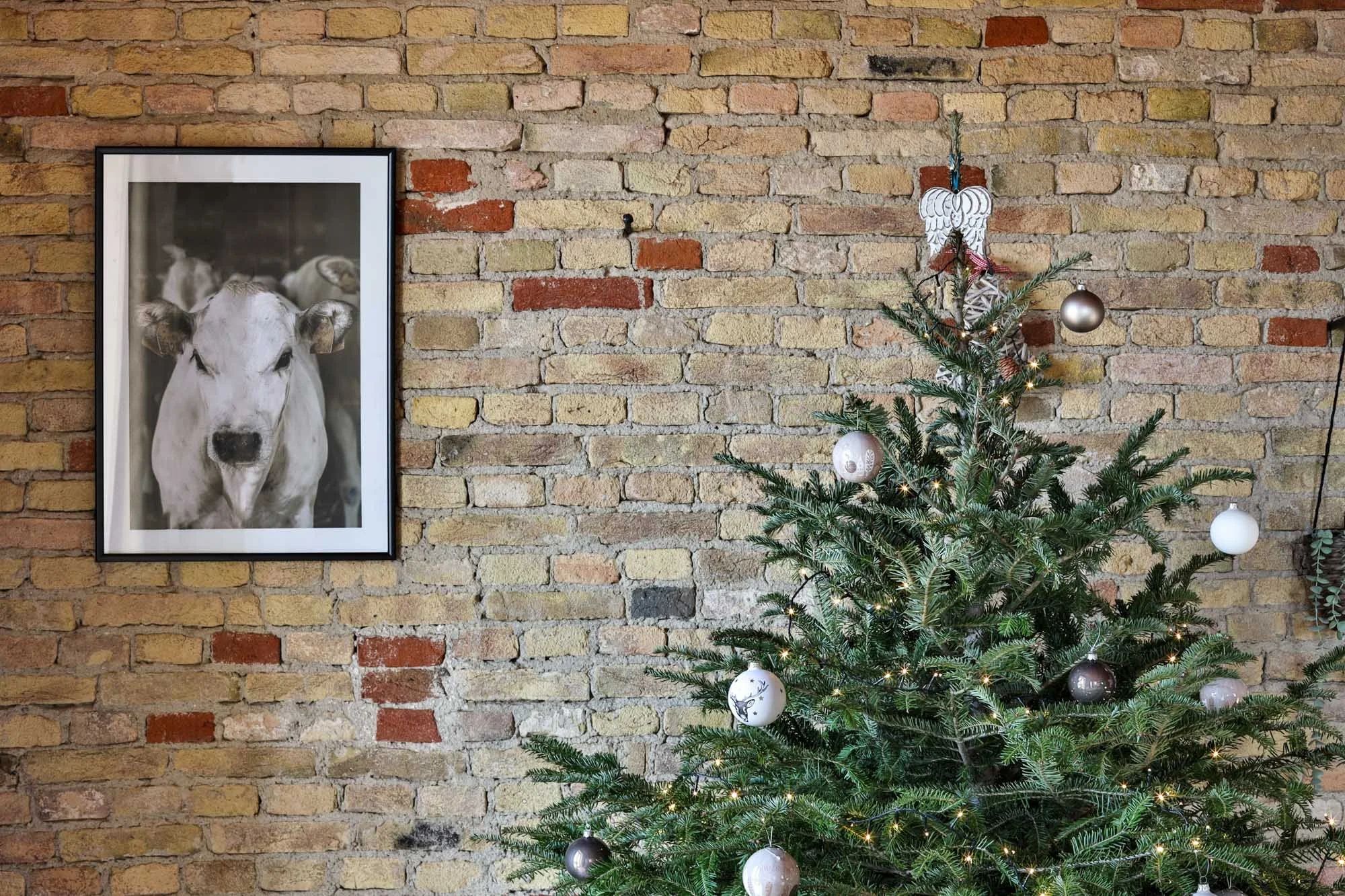 Whatever the season N°18 has you covered, seasonal decorations and cosy interiors help you celebrate whatever the time of year!