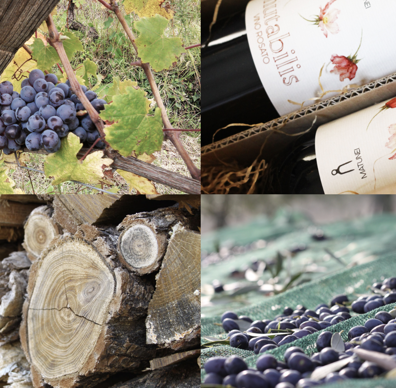 T'asti also have their own high quality Bio-winery and can host you in the vineyards, in theor cellars or here at N°18 so you can have your wine tasting without leaving the villa.