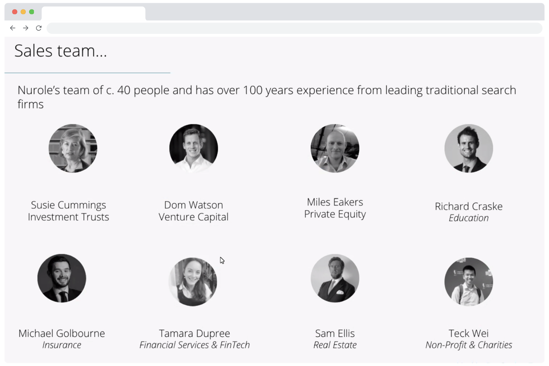 Marketing website - the team