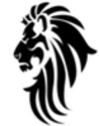 LYONZDEN INC. 