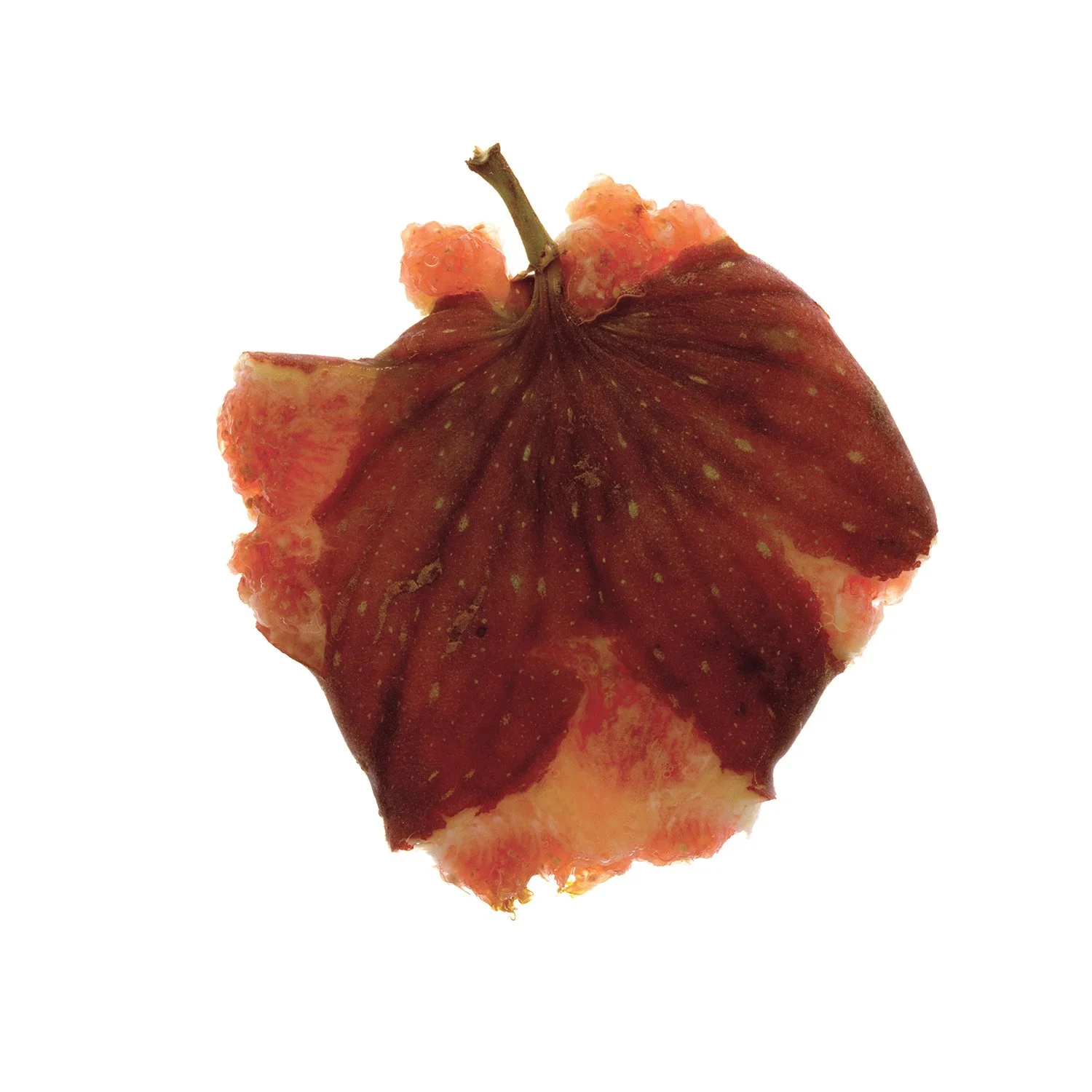 fig3_domlee.jpg