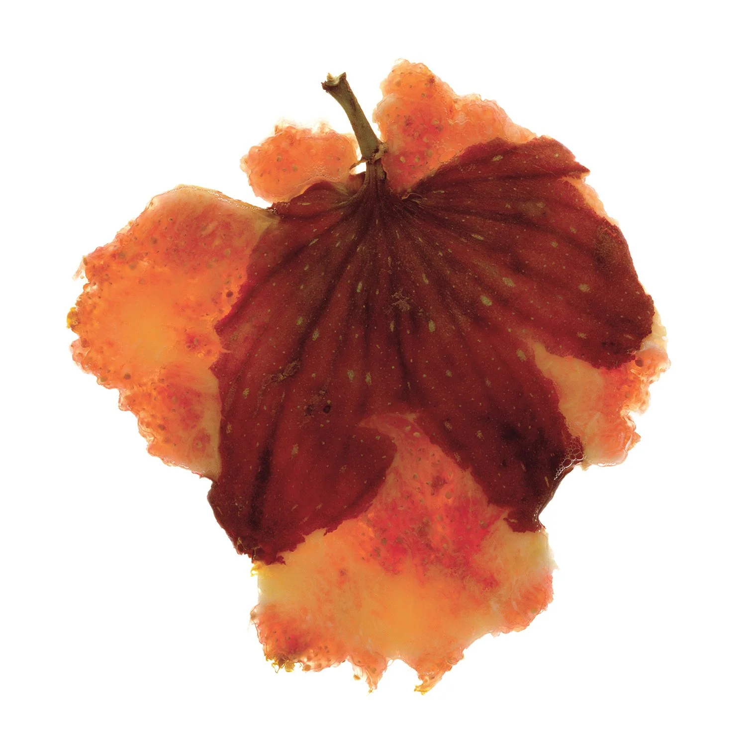 fig4_domlee.jpg
