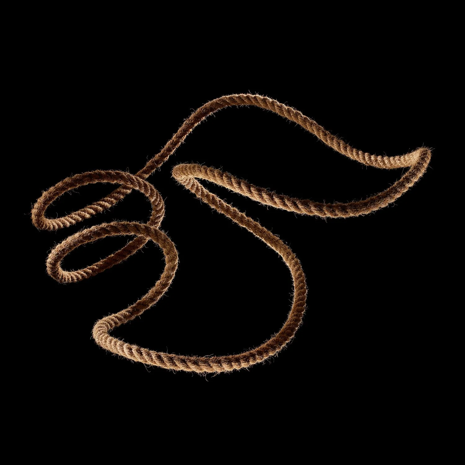 Rope2_domlee.jpg