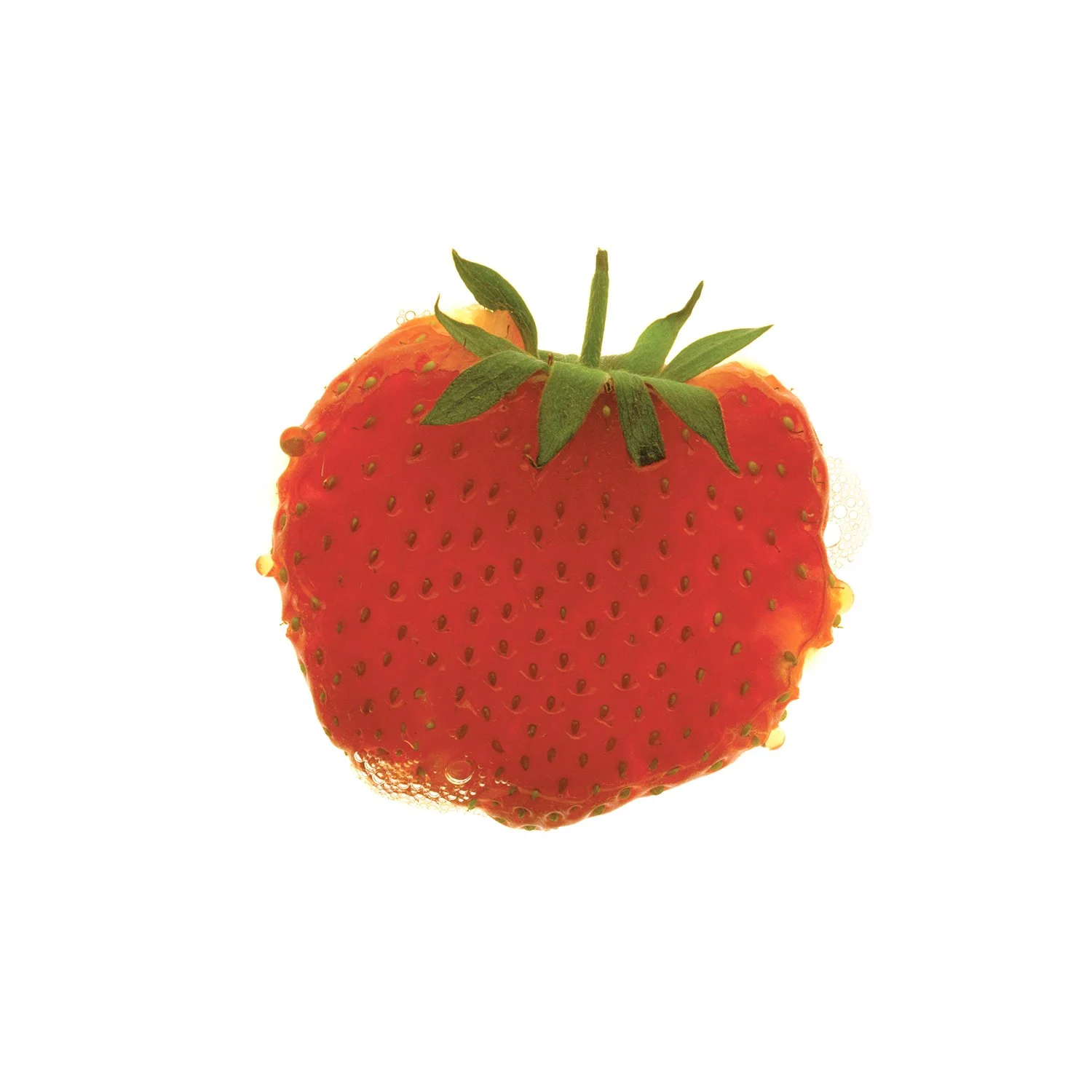 Strawberry2_domlee.jpg