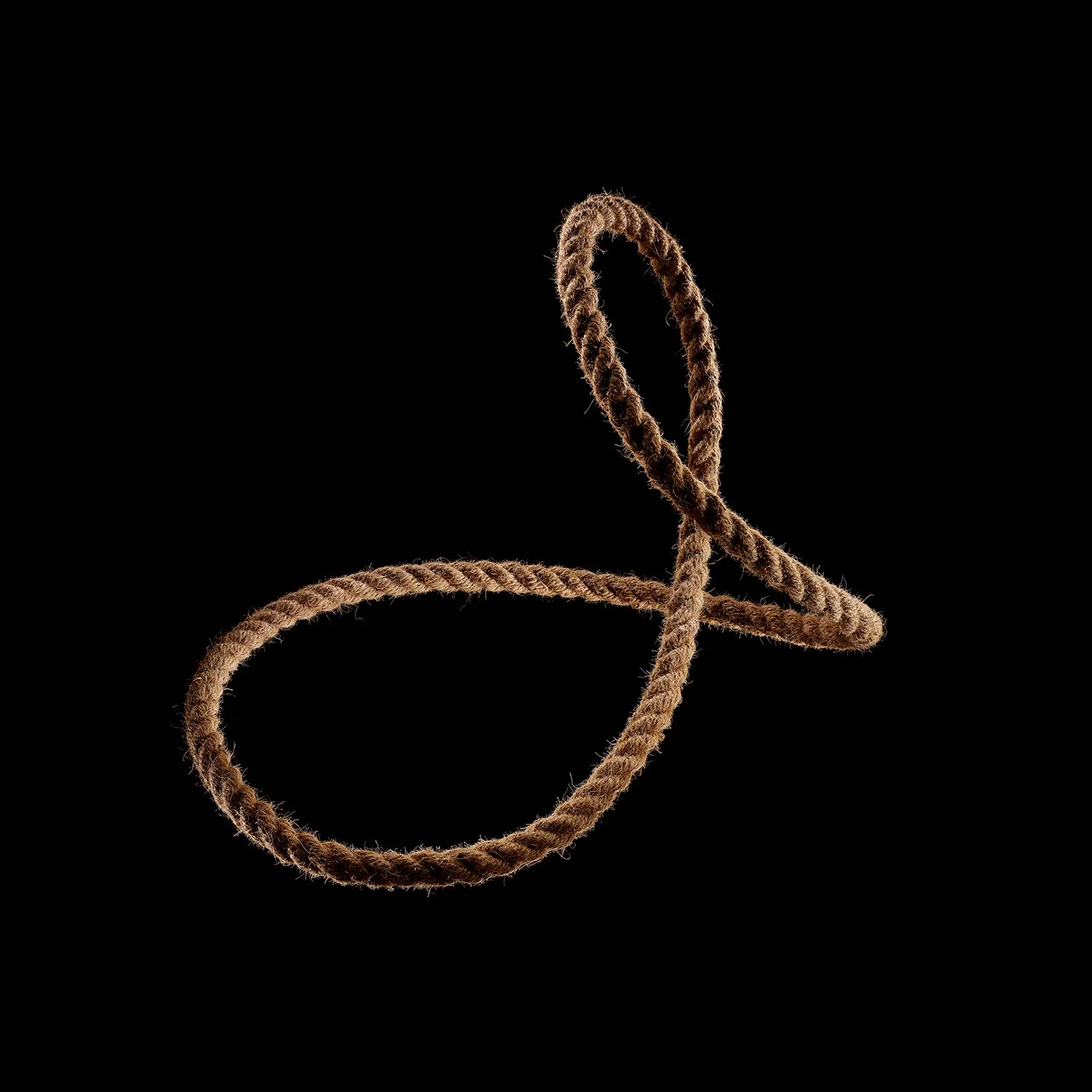 Rope1_domlee.jpg