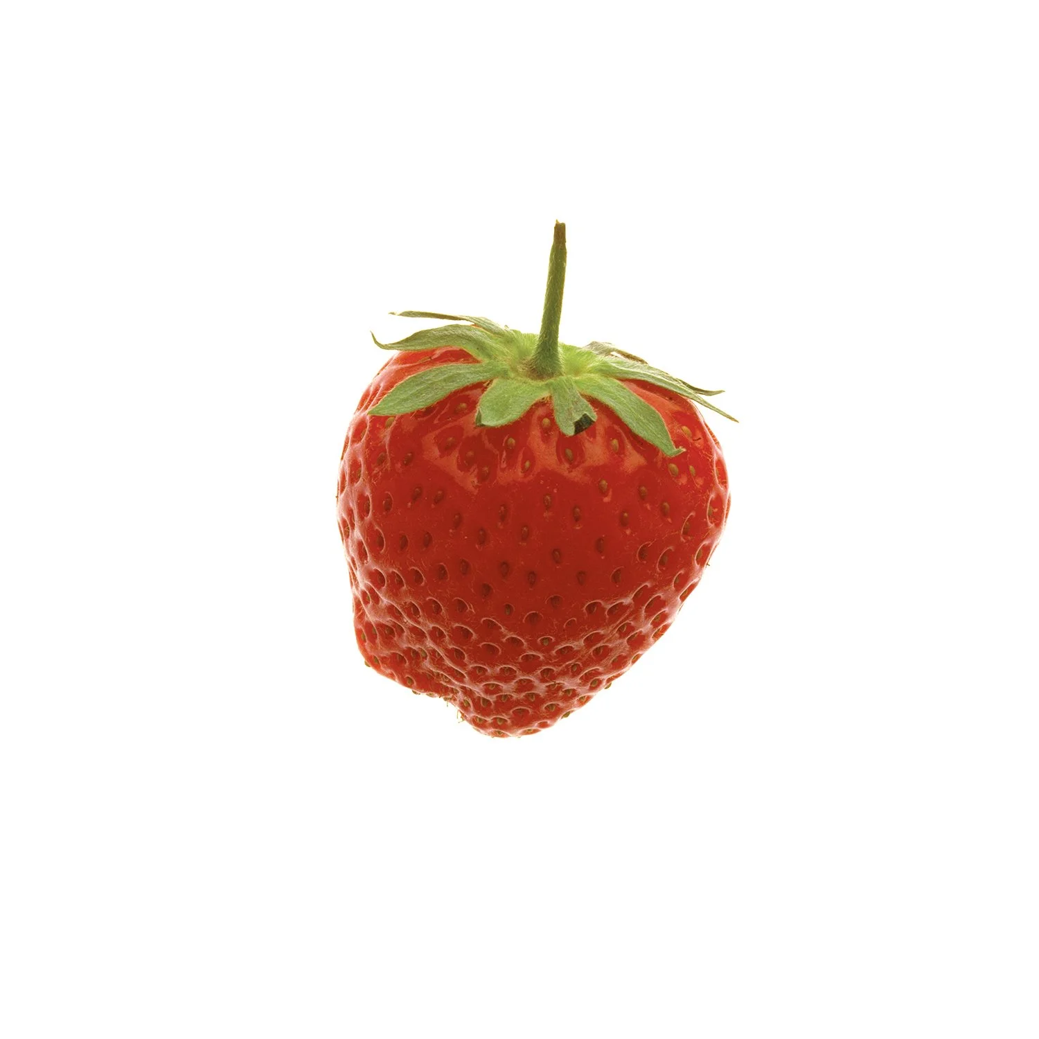 Strawberry1_domlee.jpg
