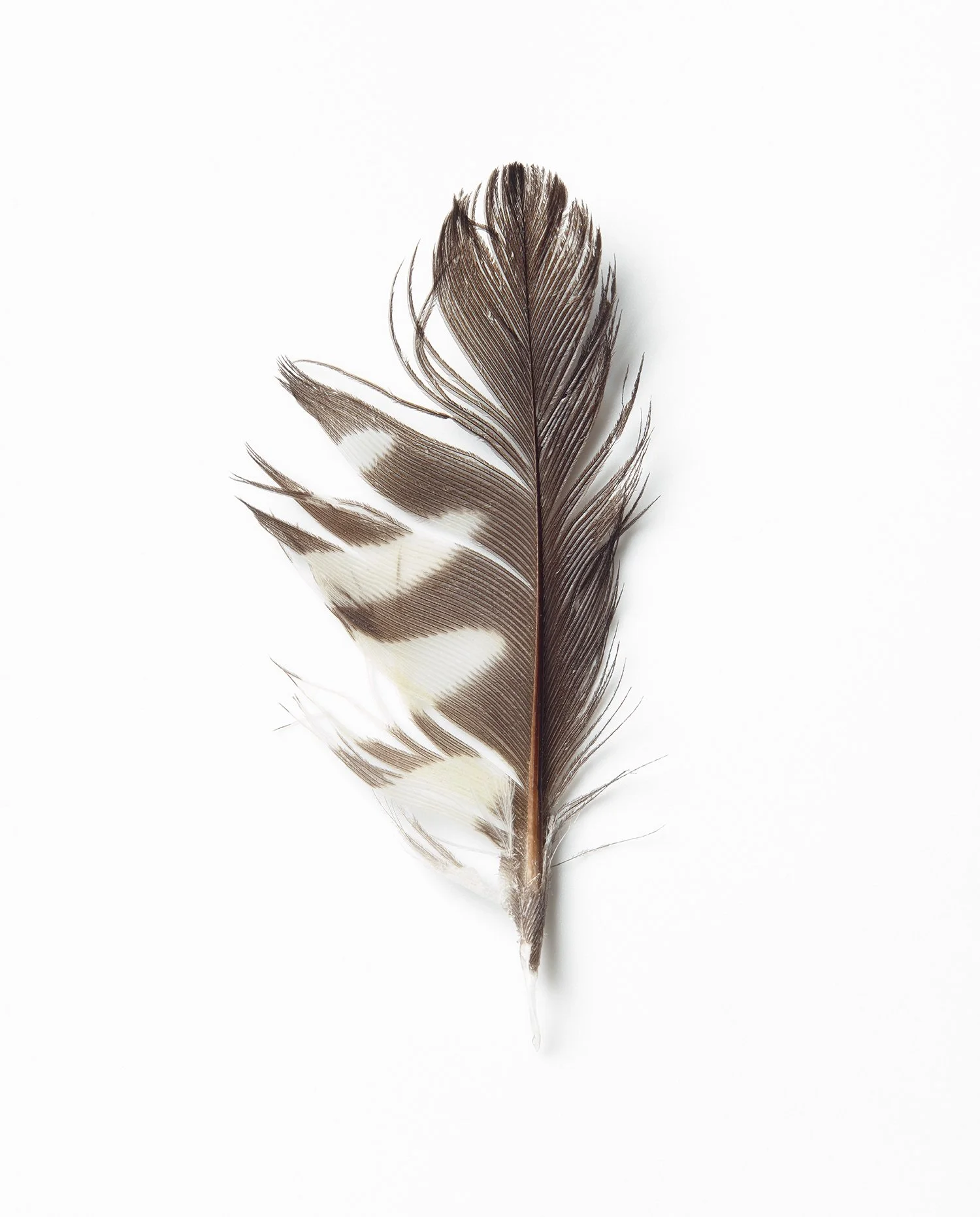 one side feather