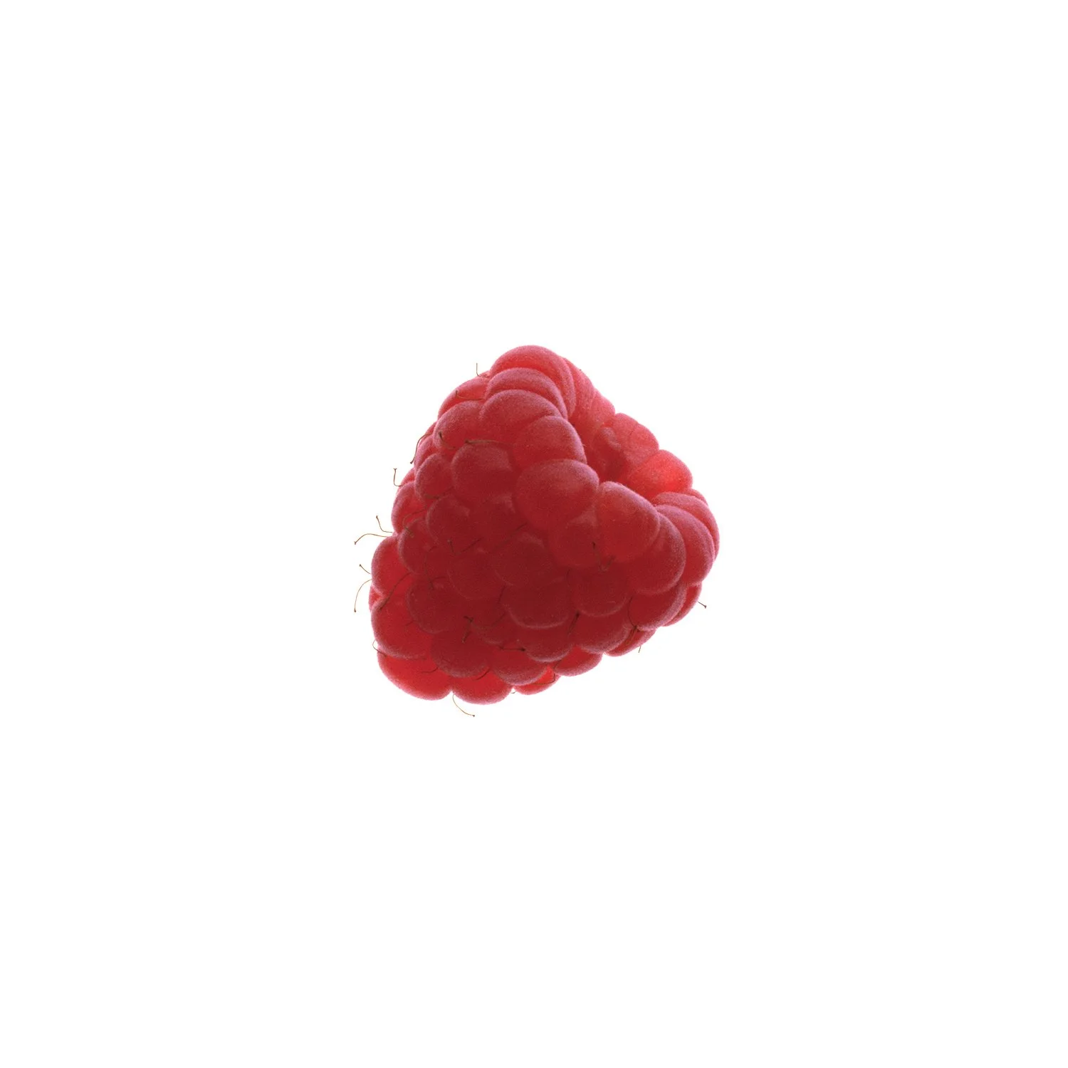Rassberry1_domlee.jpg