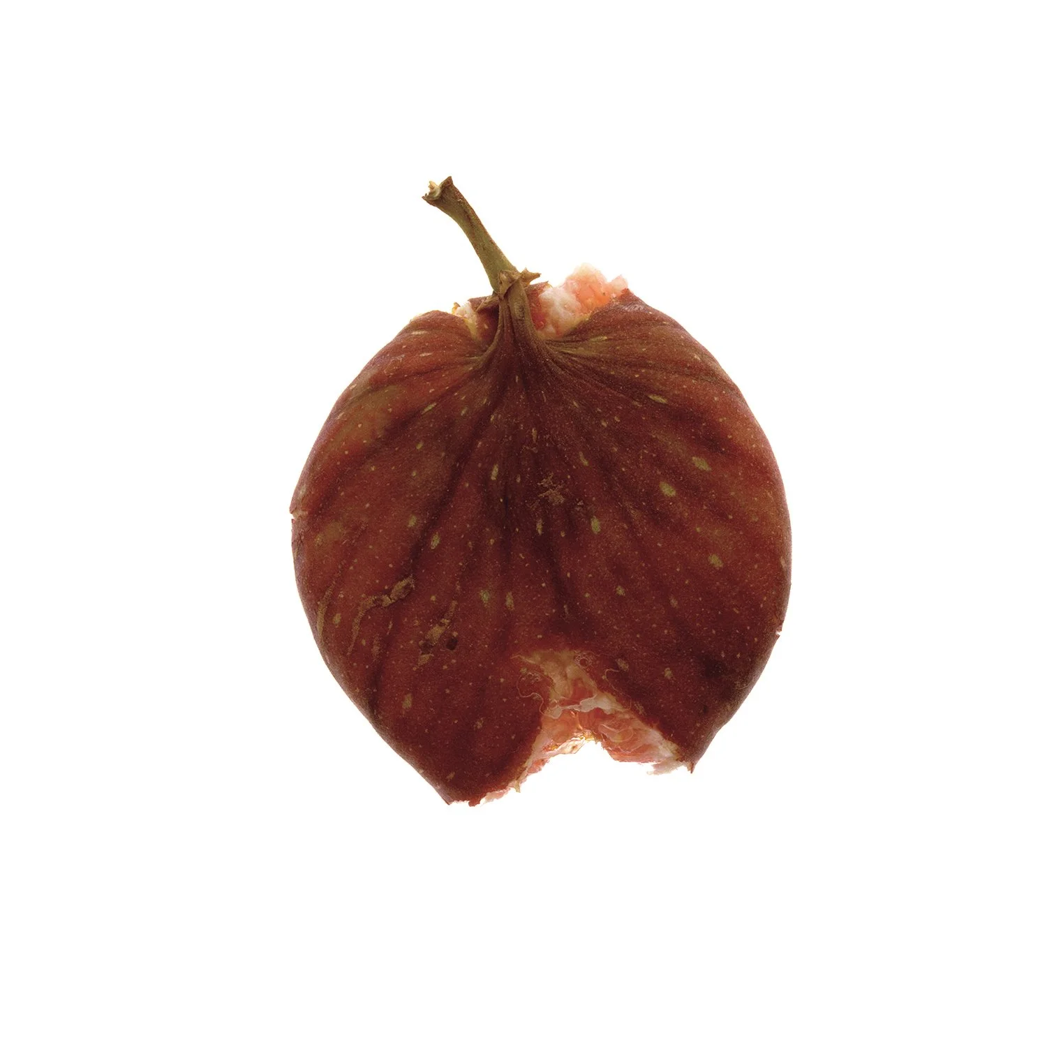 fig2_domlee.jpg