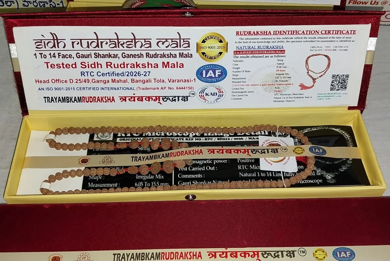 30791684-0c08-4681-8afa-4867fbf11e19.jpg