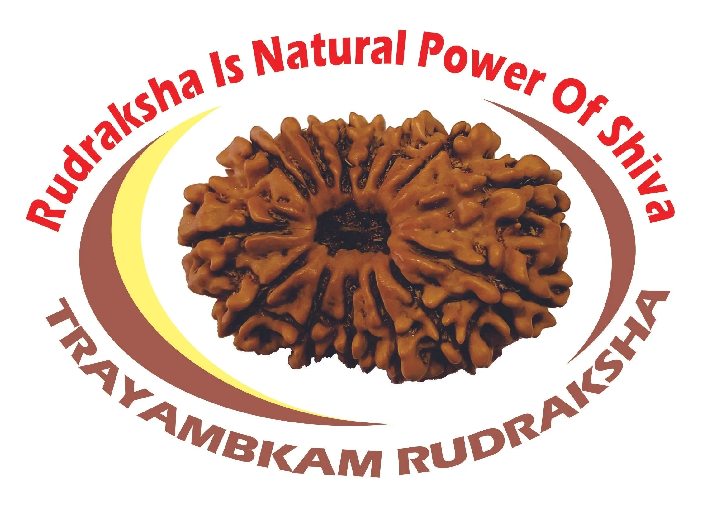 Close-up of a traditional Indonesian snack, a brown chewy cone-shaped snack with a textured surface, surrounded by text that says 'Rakslaksa Is Natural Power of Shiiwa' and other partially visible words.
