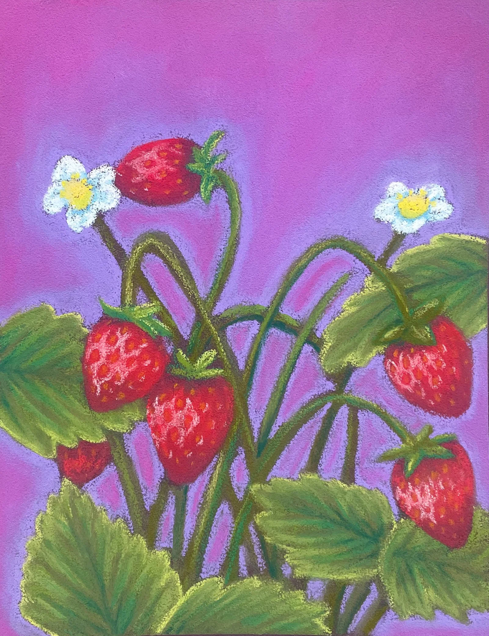 Strawberries.jpg