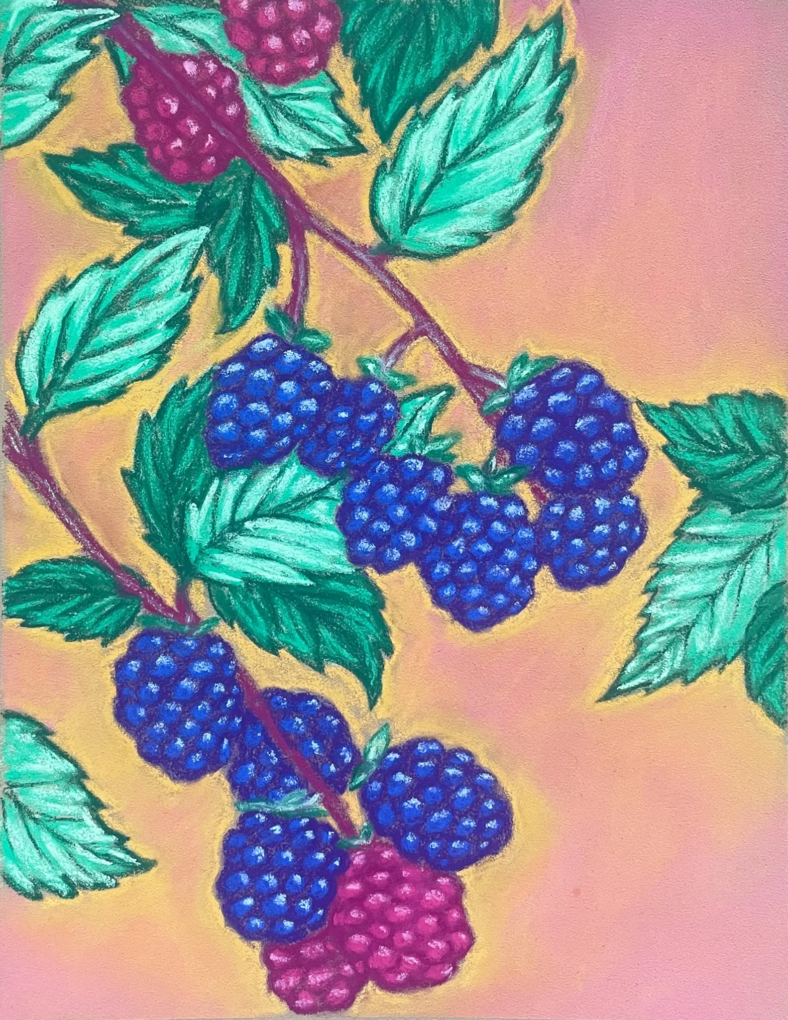 Blackberries.jpg