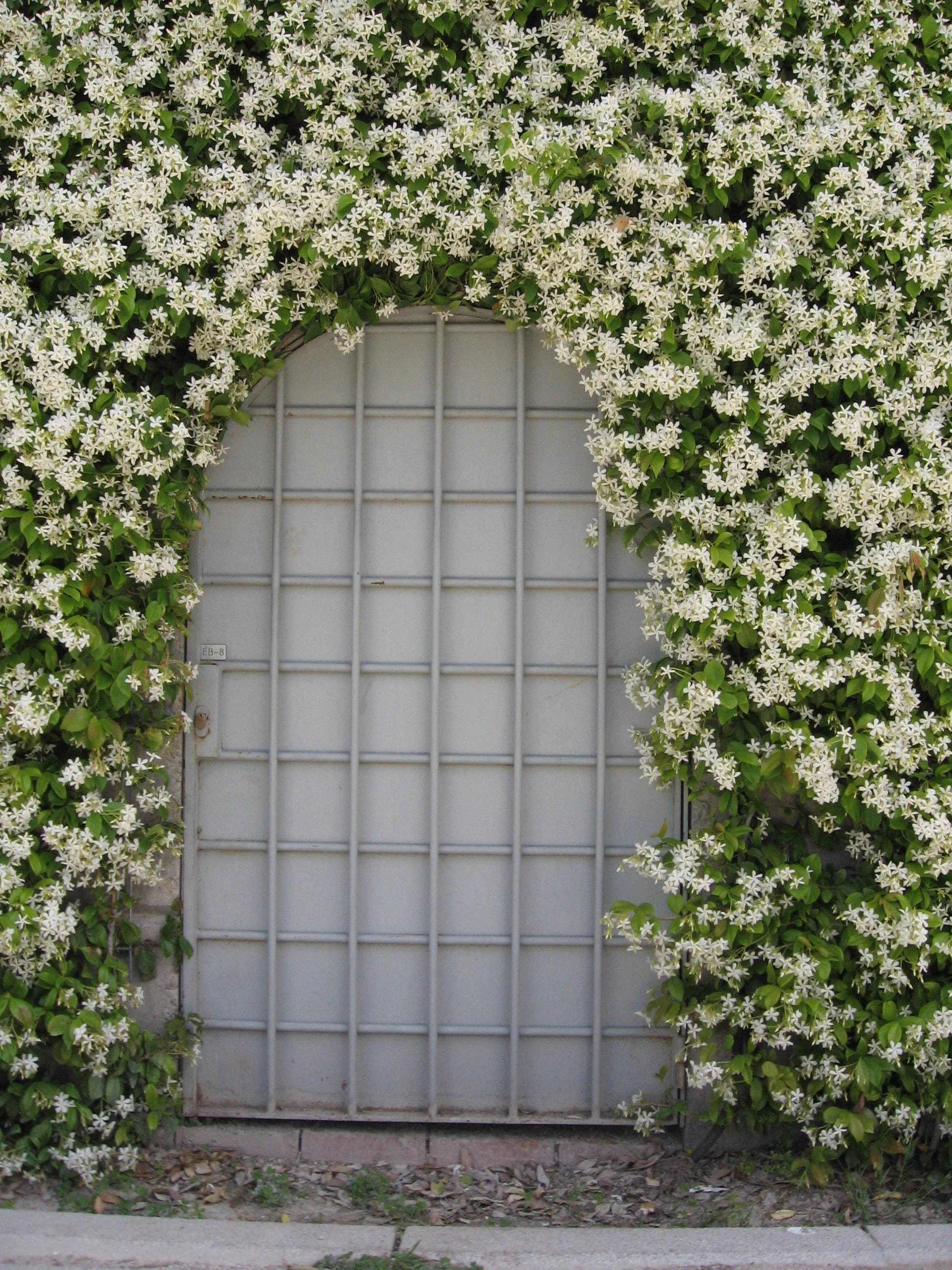 https://i.etsystatic.com/60071290/r/il/f56d65/7337421547/il_fullxfull.7337421547_m3cb.jpg