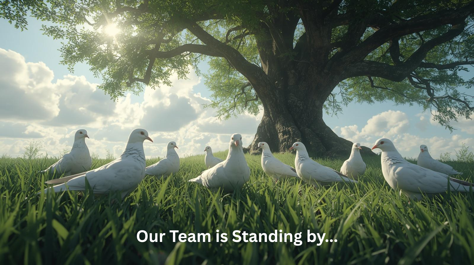 A group of white Doves standing on lush green grass under a large tree with green leaves, with the sun shining through the tree branches and a partly cloudy sky in the background. Text overlay says 'Our Team is Standing by...'.