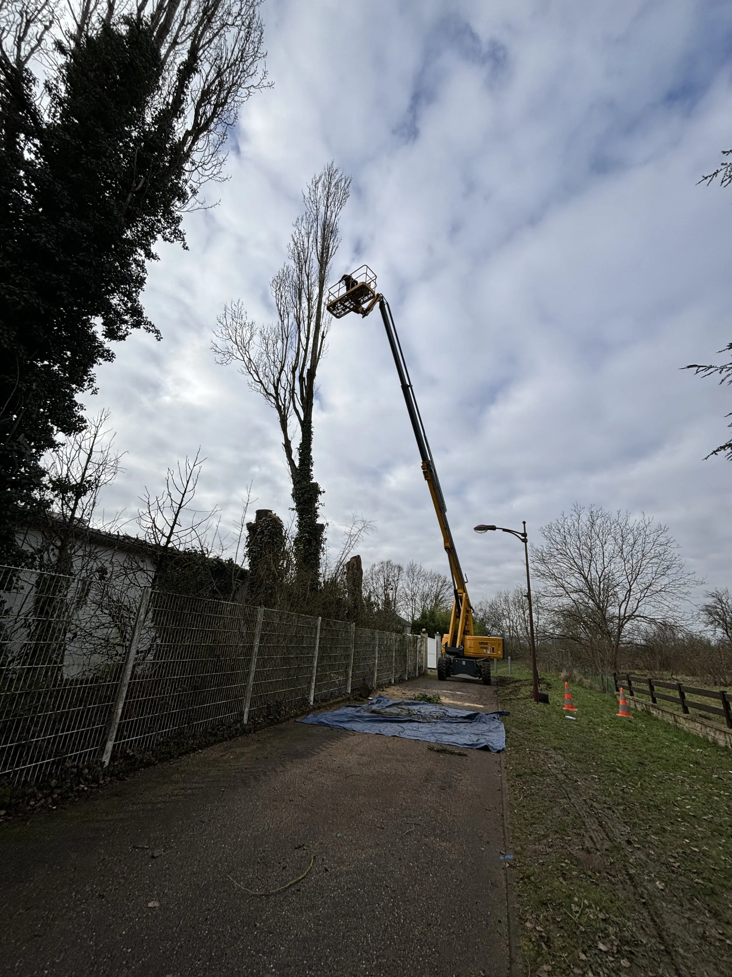 Delhaye Travaux - espace vert (8).jpg