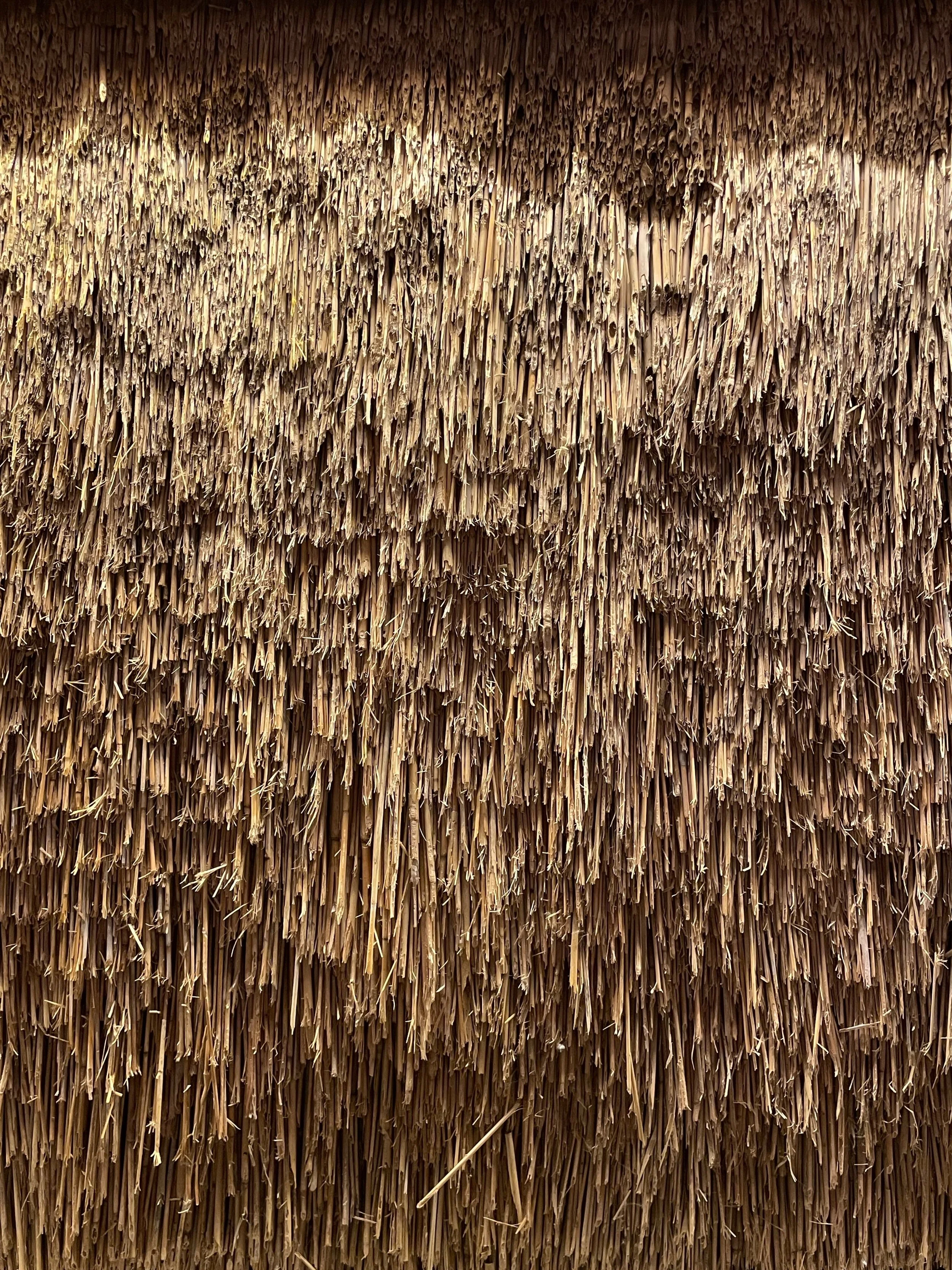 16. Snapseed(19).jpg