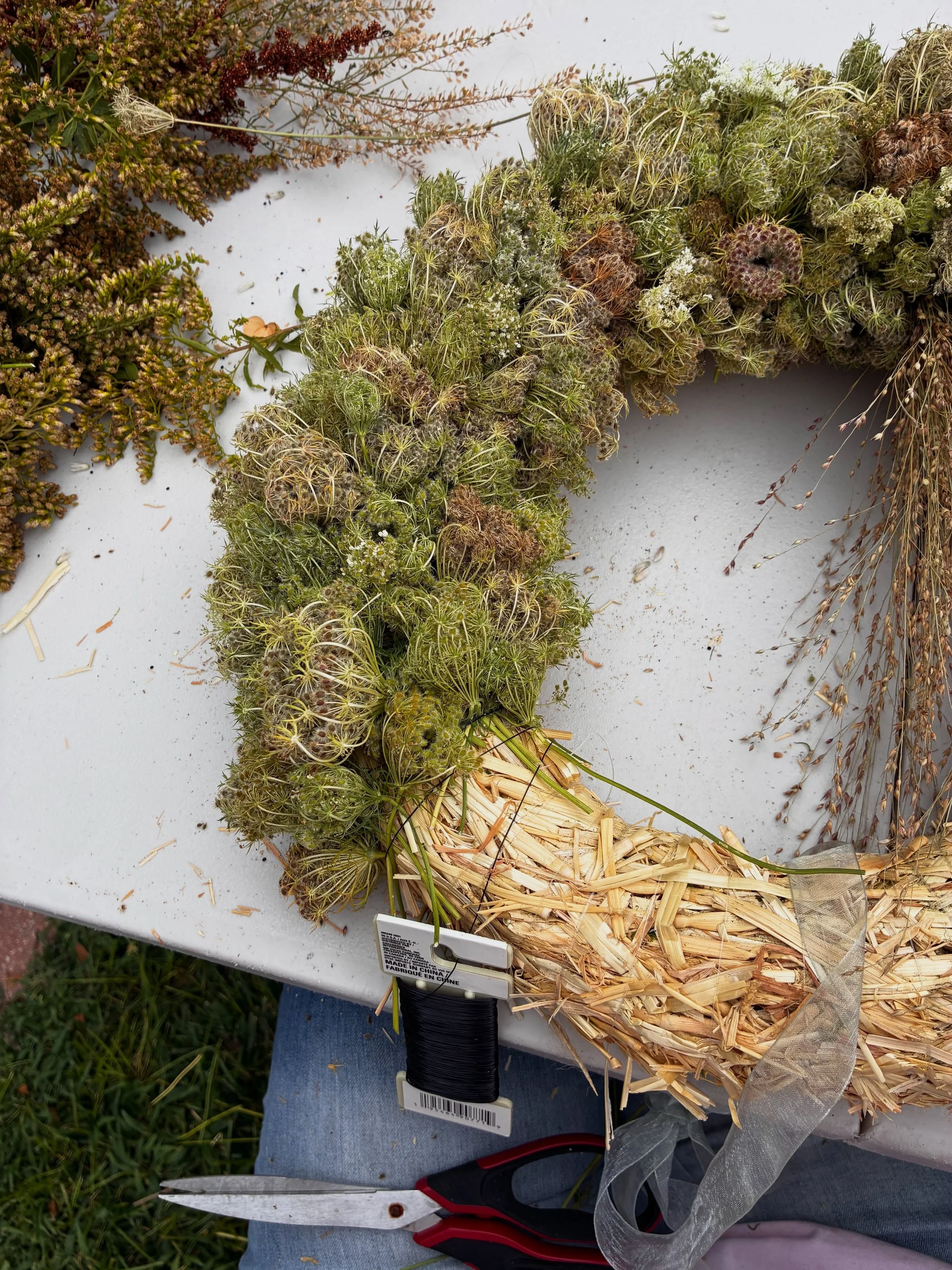 Loving the look of Queen Ann&rsquo;s Lace, aka wild carrot plant. 
But it sure takes a LOT of heads to complete a 14&rdquo; wreath! #queenanneslace #summerwreath