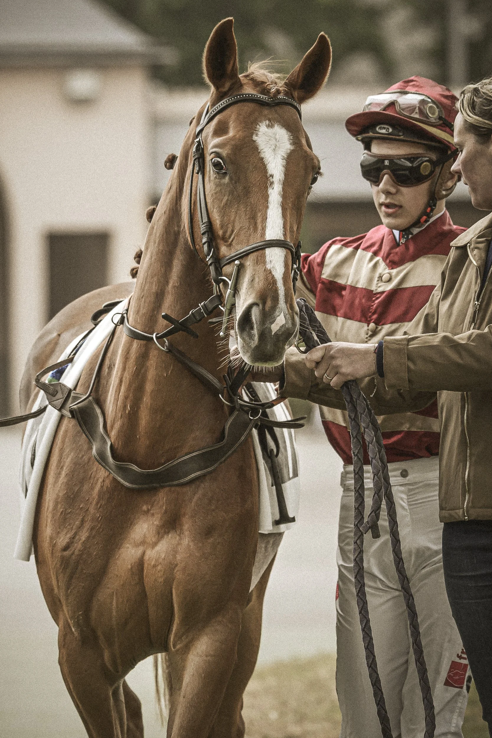 Un cheval brun avec une tache blanche sur le visage, portant une selle, est tenu par deux personnes: un jeune homme avec casque et lunettes de protection, et une autre personne en veste beige, lors d'une séance d'entraînement ou de compétition.