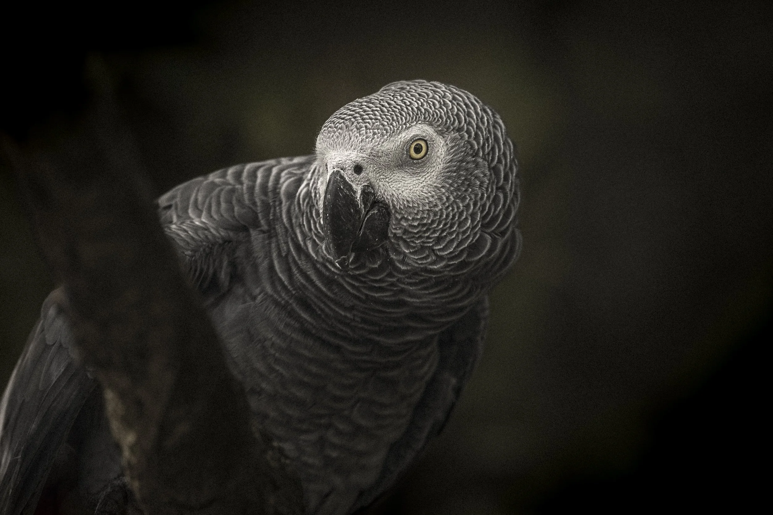 #PHOTO 7