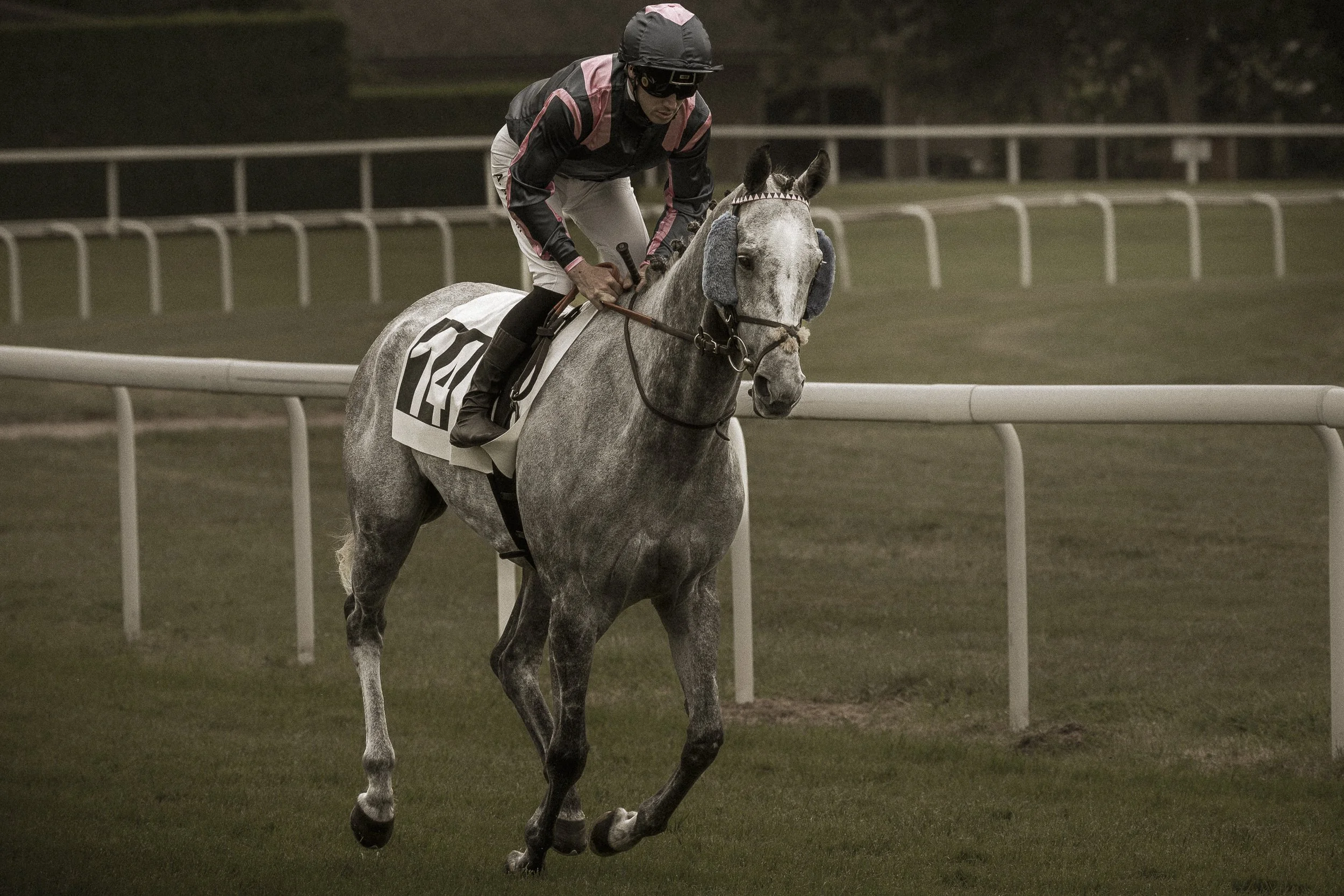 Un jockey chevauche une cavalière durant une course hippique nocturne sur une piste en herbe, avec une barrière blanche en arrière-plan.