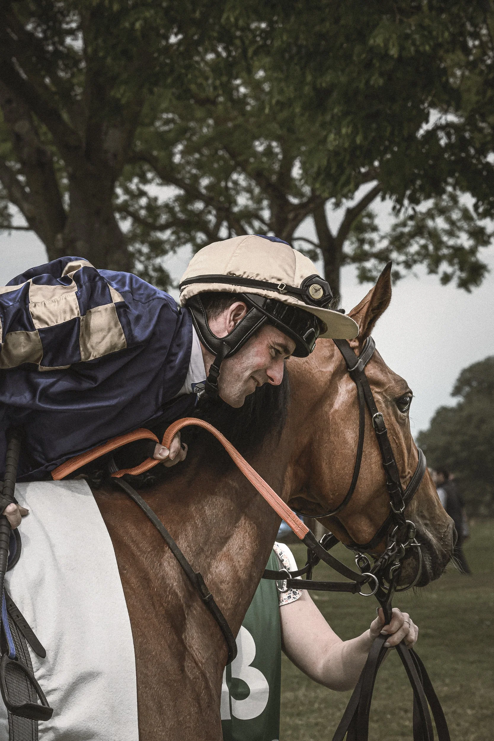 Un homme portant un casque de jockey et une veste en satin est à cheval, tenant les rênes, avec un arbre en arrière-plan.