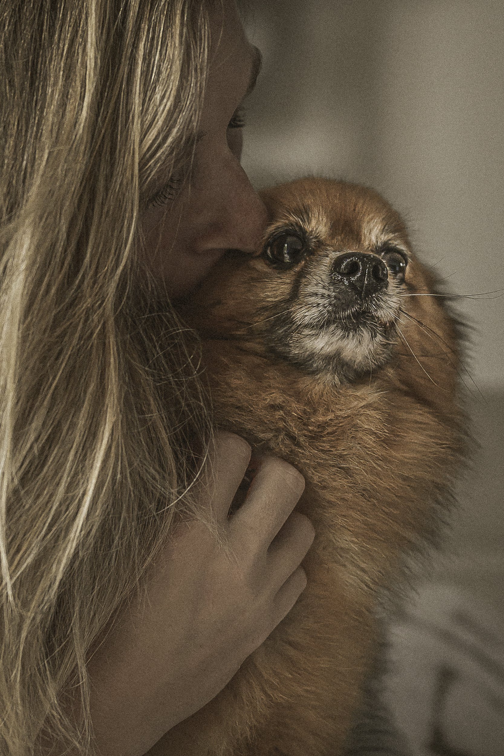 Une personne embrasse un chien de race pug, avec un fond neutre.