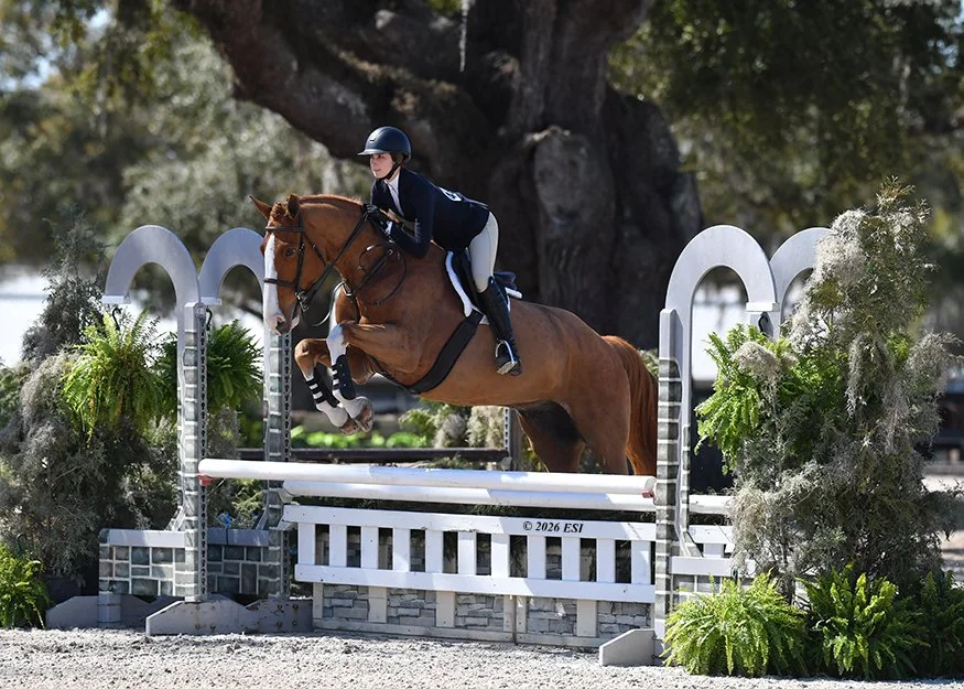 A rider in equestrian attire and helmet jumping a horse over a hurdle during a show jumping competition outdoors.