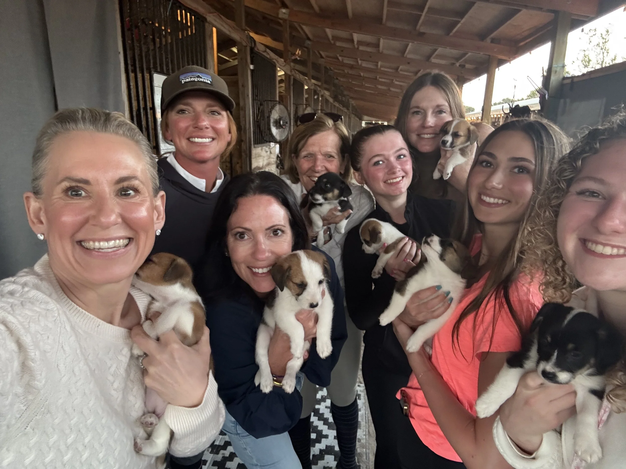 Group of people smiling and holding puppies inside a rustic barn or stable with wooden beams and metal fencing.